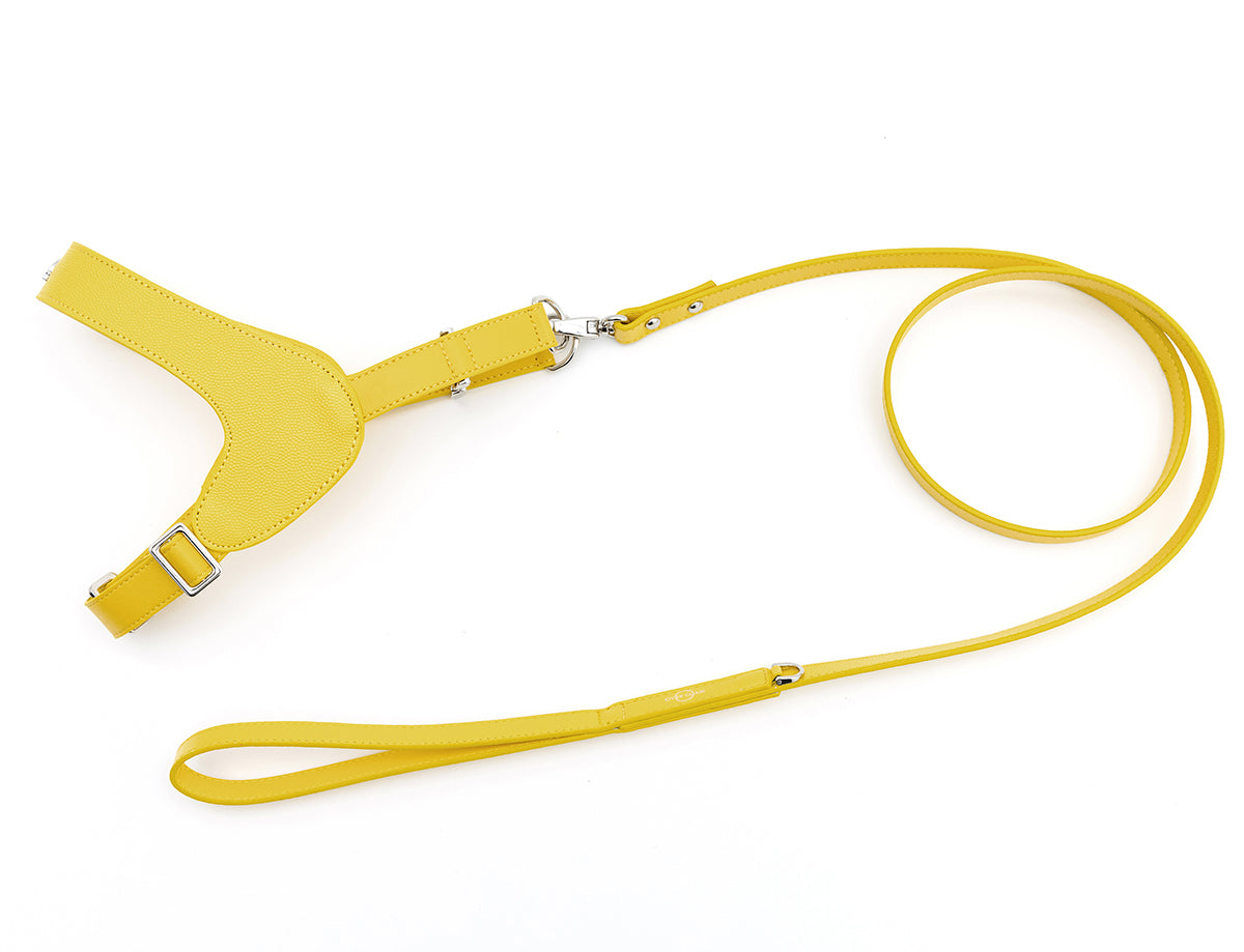 Leather Harness Set with Lead and Pocket