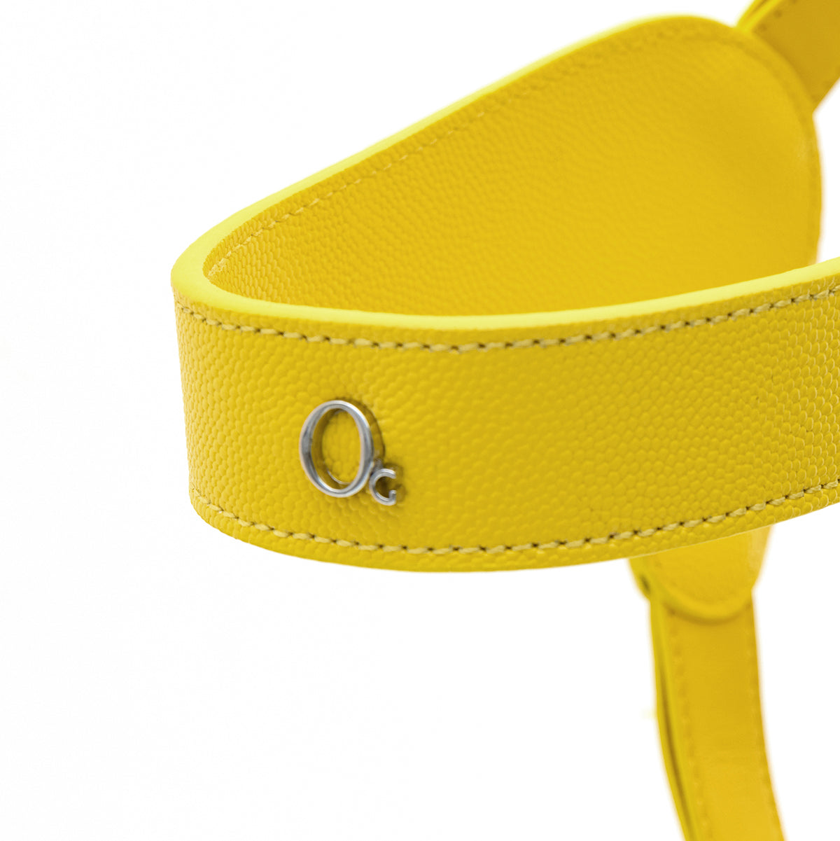 Leather Harness in Mint, Brown and Black