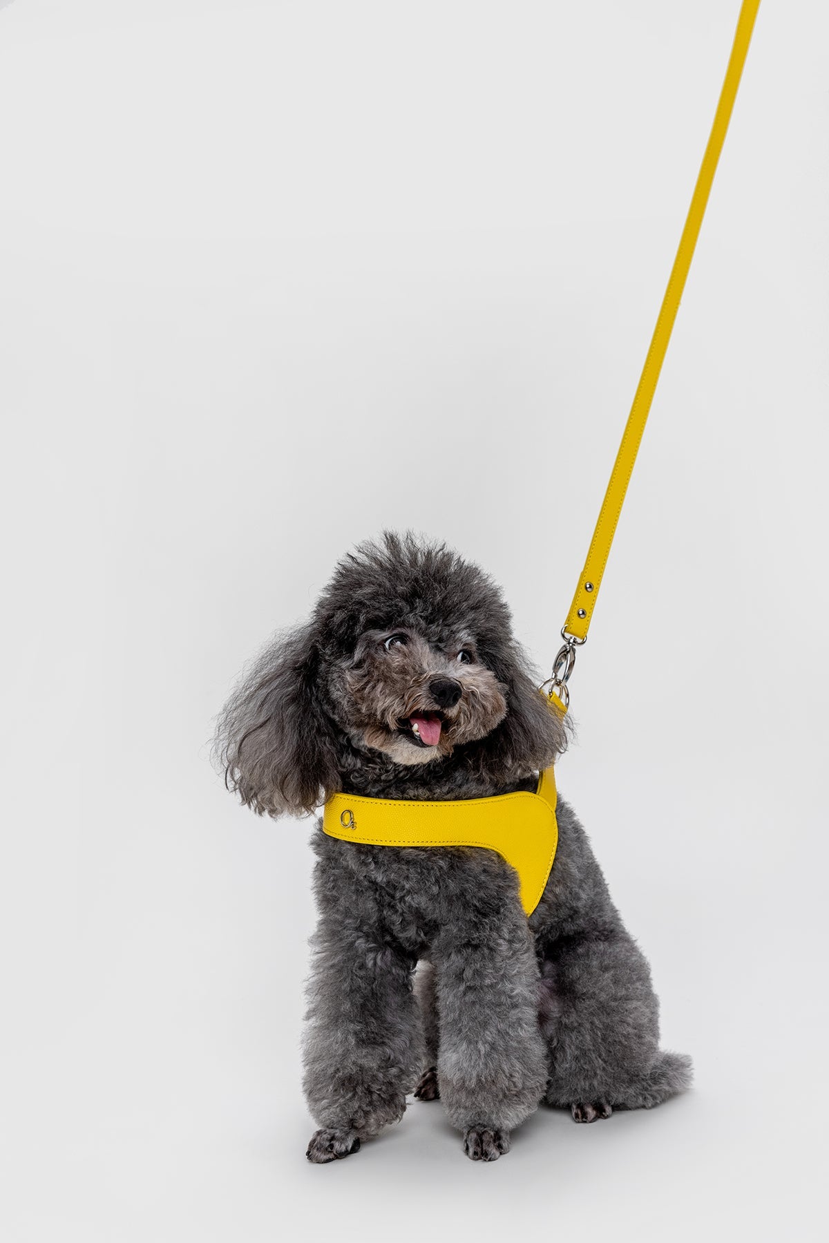 Leather Harness in Mint, Brown and Black