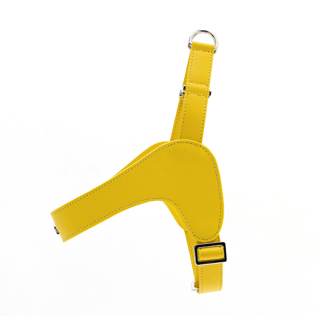 Leather Harness Set with Lead and Pocket