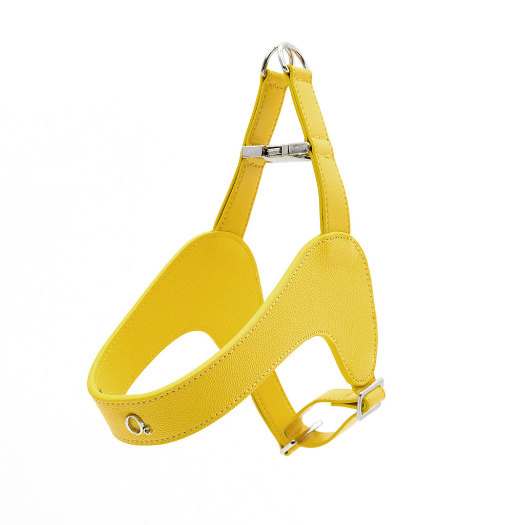 Leather Harness Set with Lead and Pocket