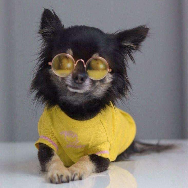 Yellow T-Shirt with Overglam Sign and Pink Striped Sleeves