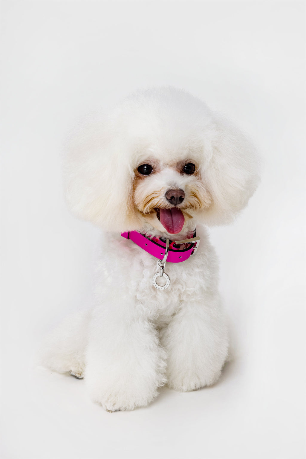 Premium Leather Collar