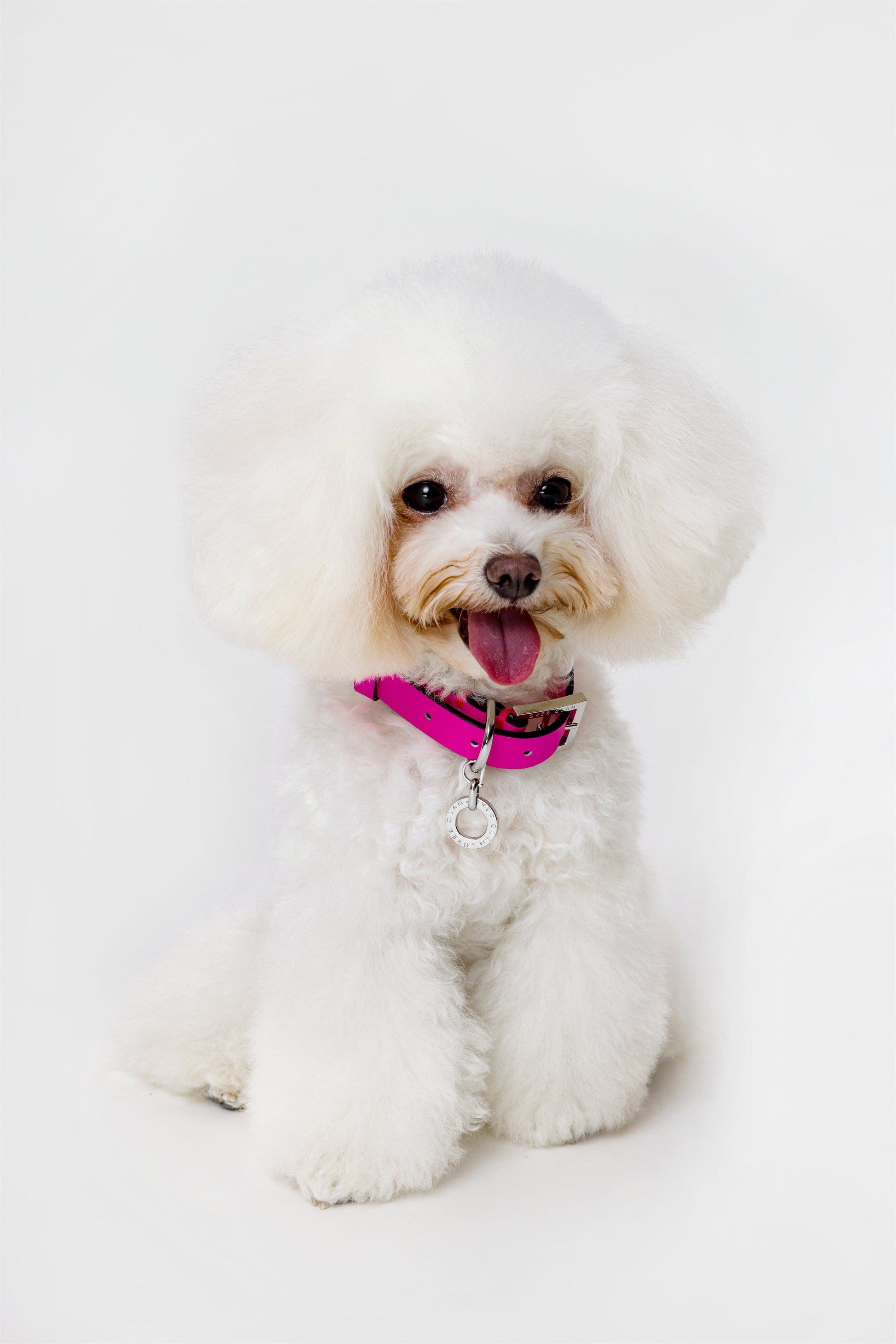 Premium Leather Collar