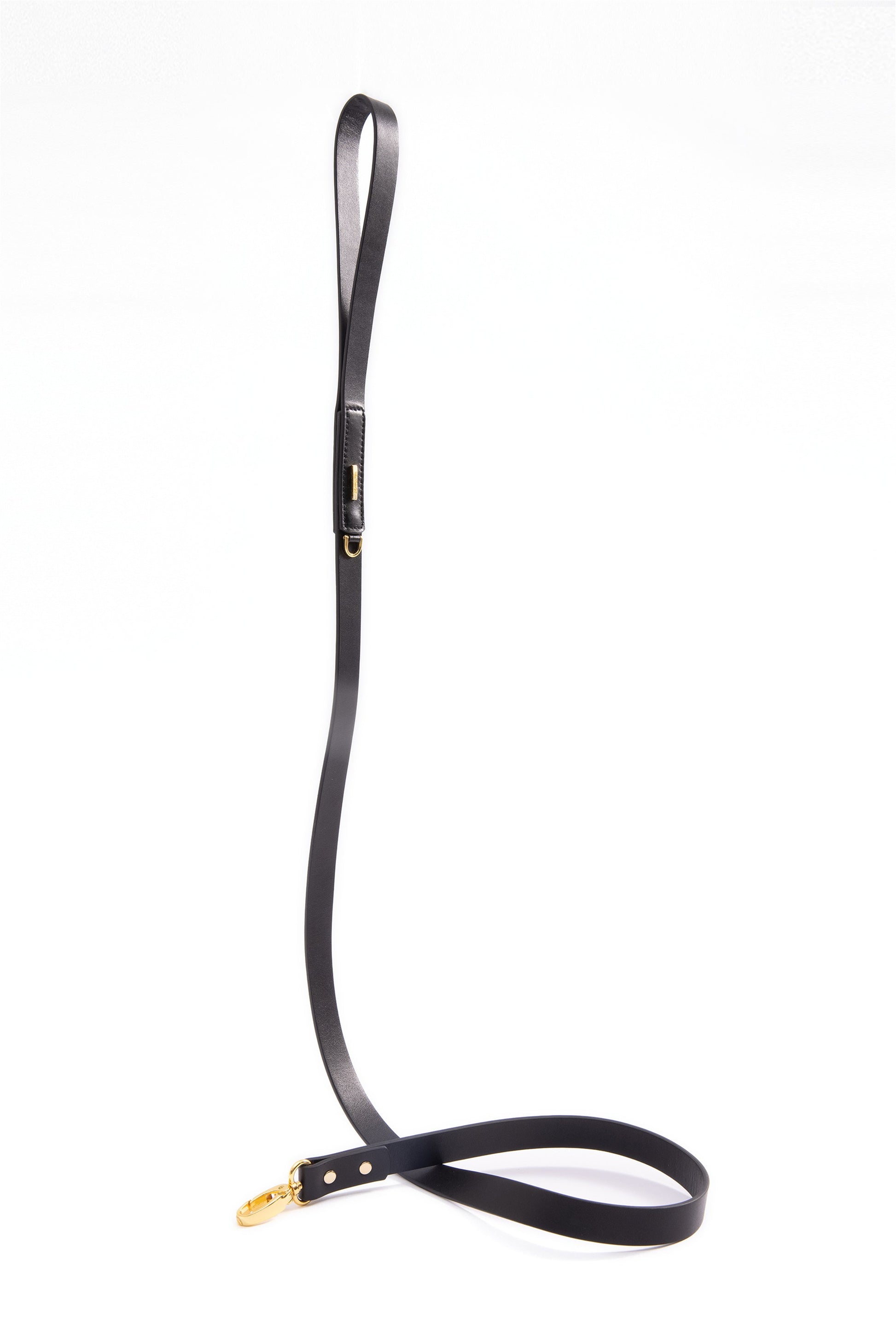 Premium Leather Lead and Collar Set