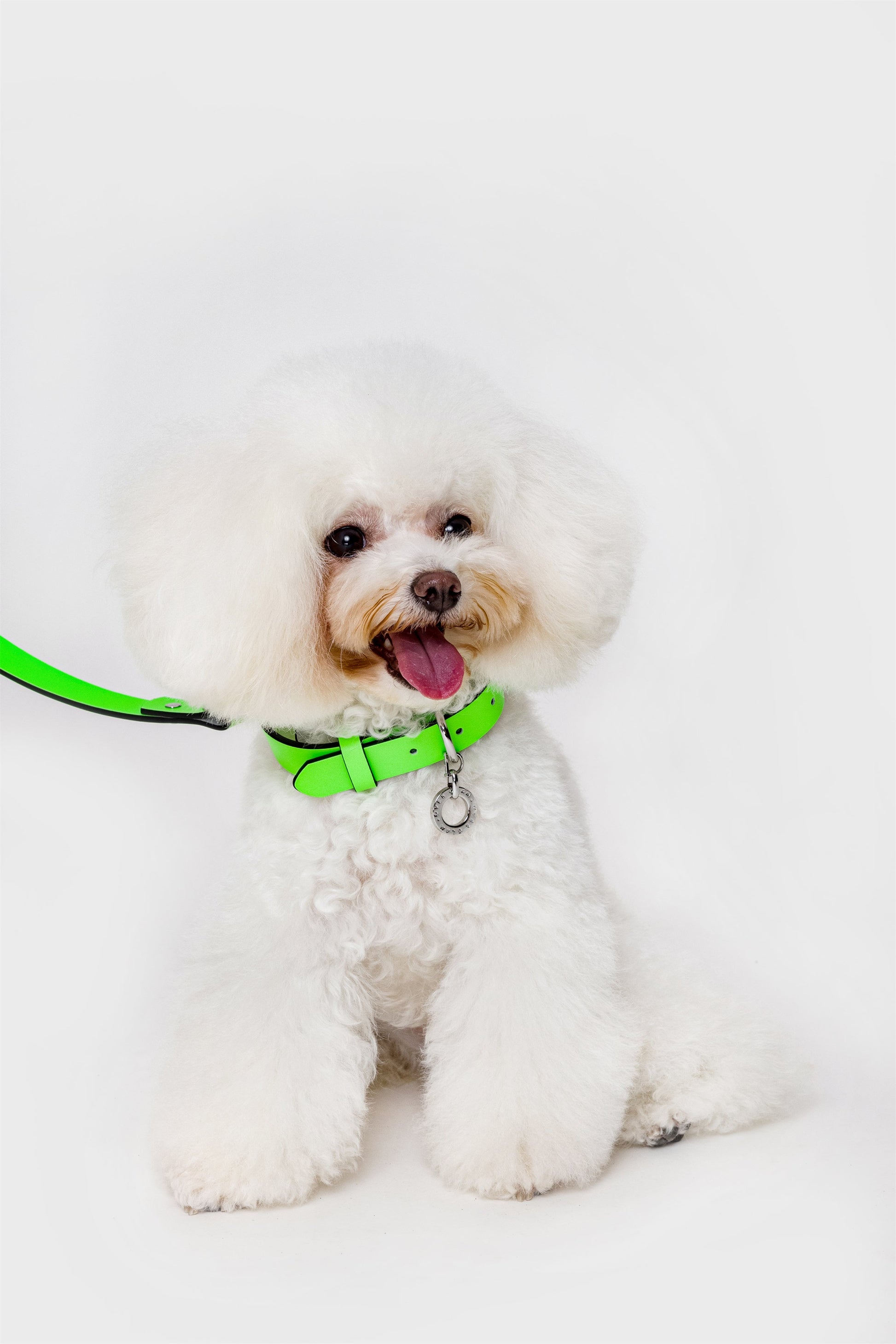 Premium Leather Lead