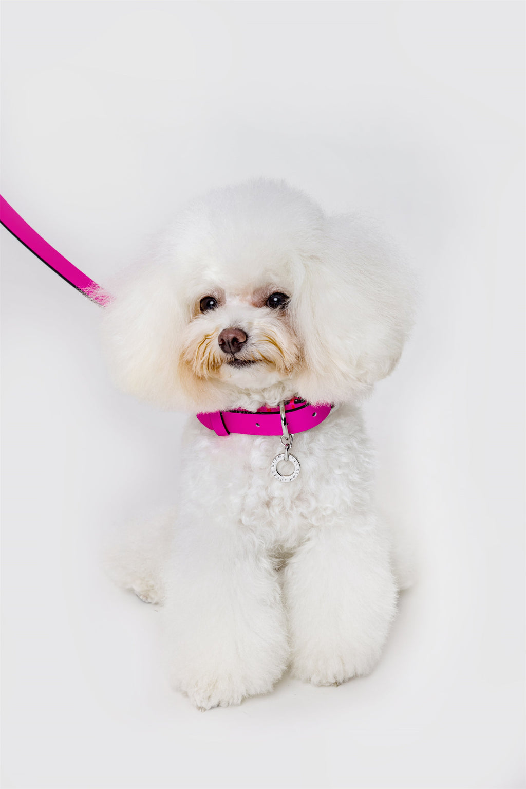 Premium Leather Lead