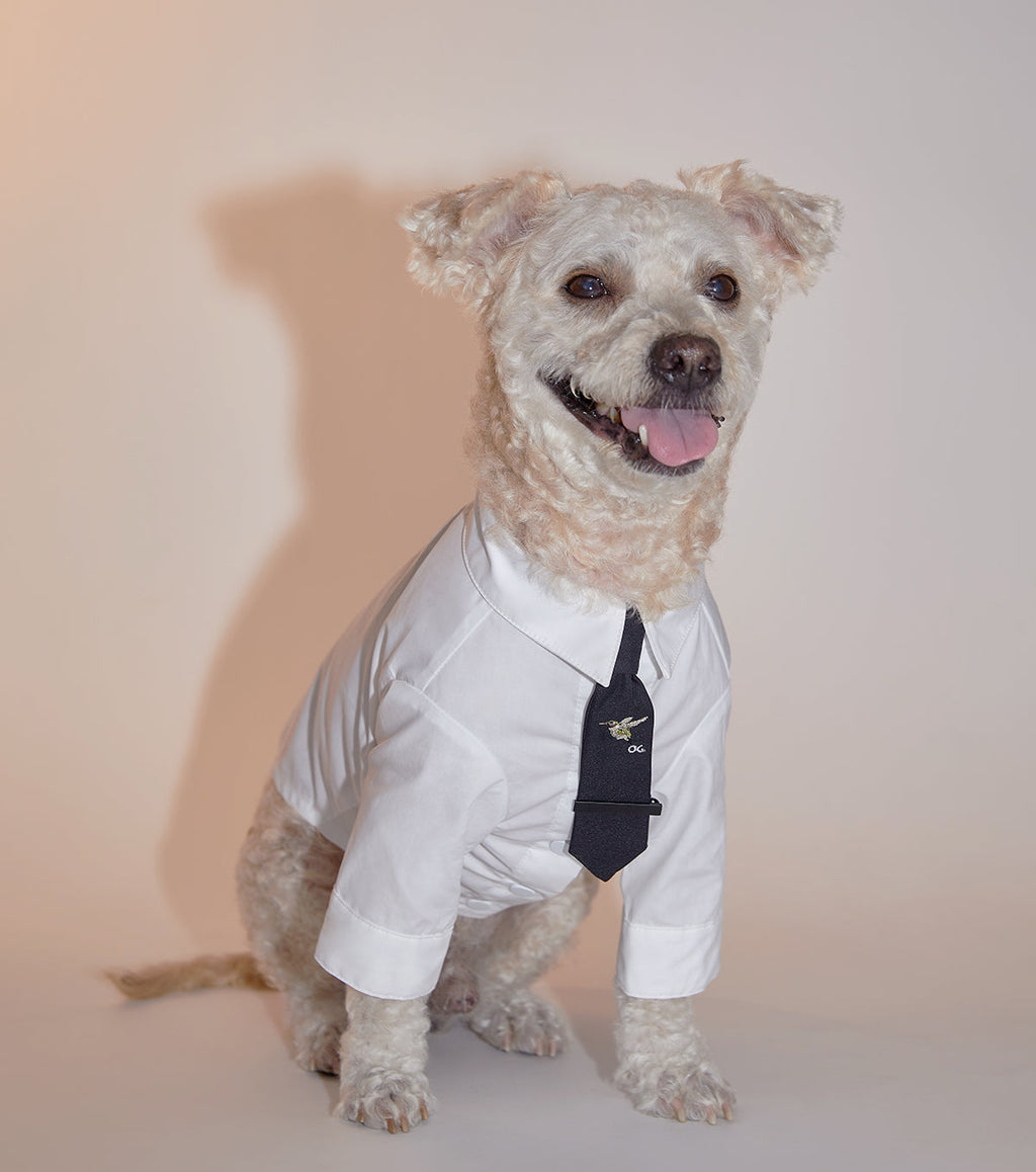 Plain White Cotton Shirt