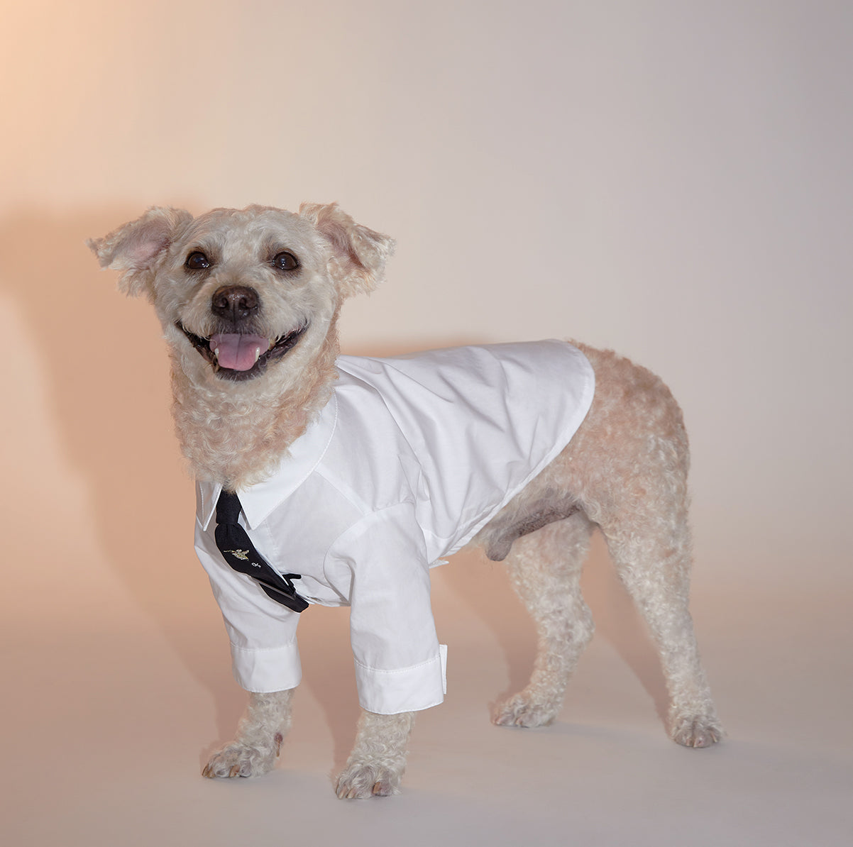 Plain White Cotton Shirt