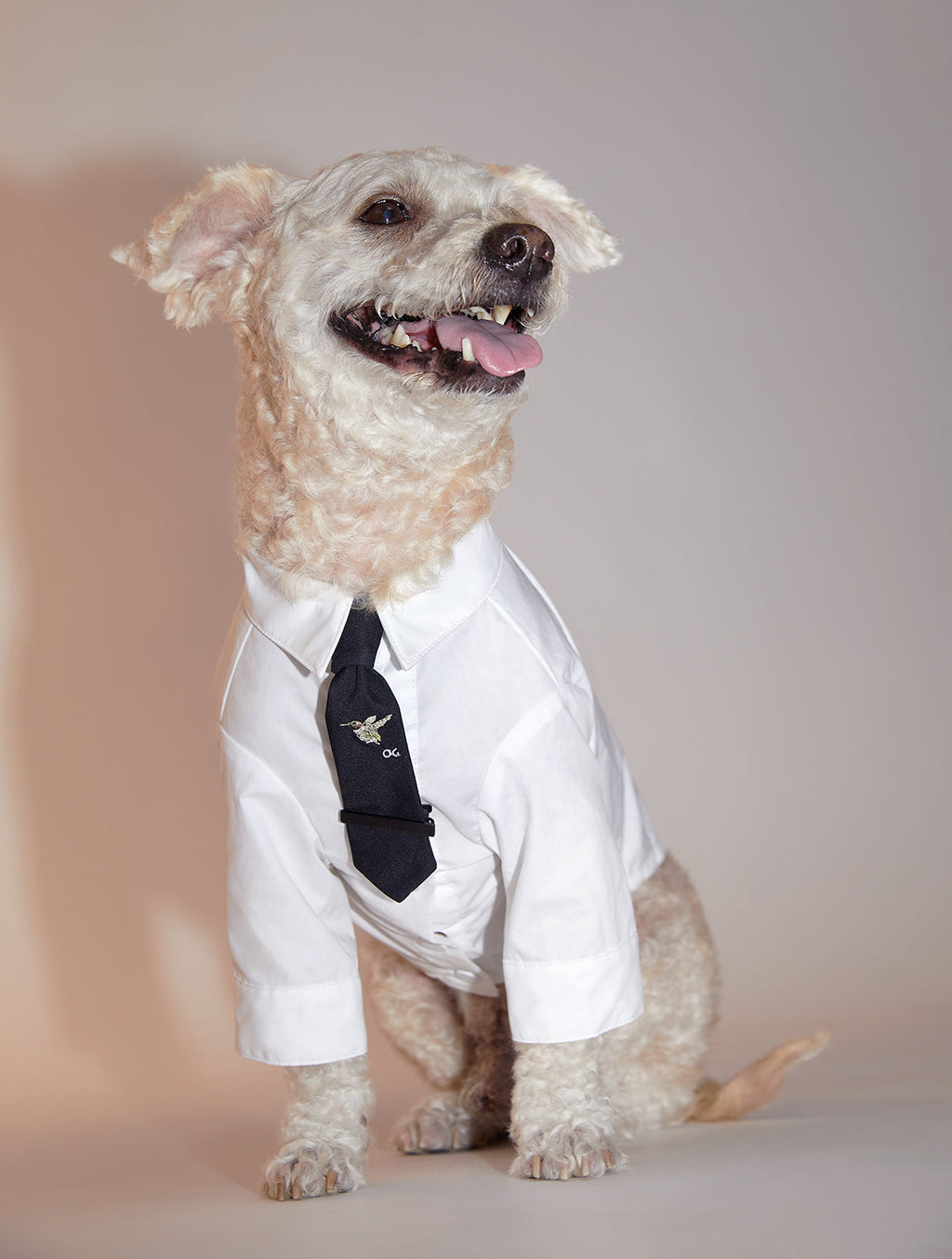 Plain White Cotton Shirt