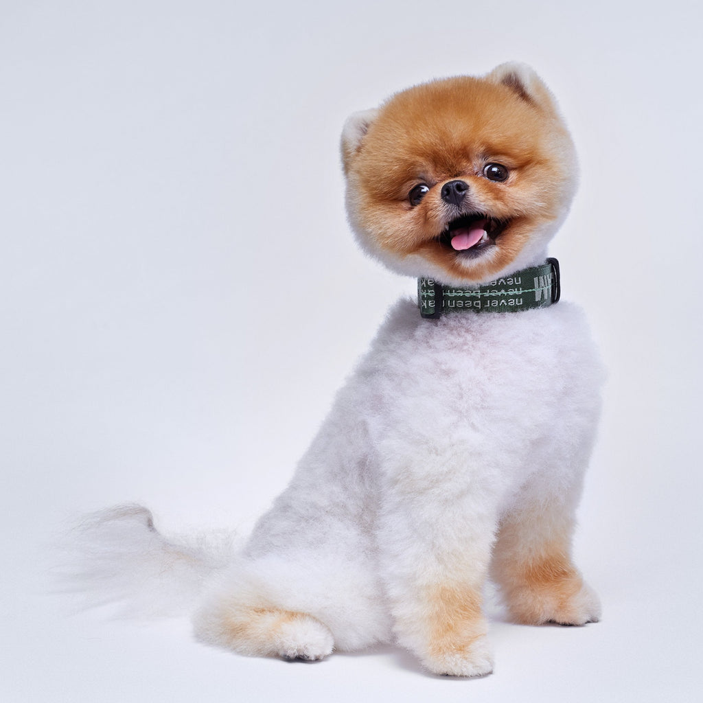 Ribbon Collar with Leather in Rose and Green