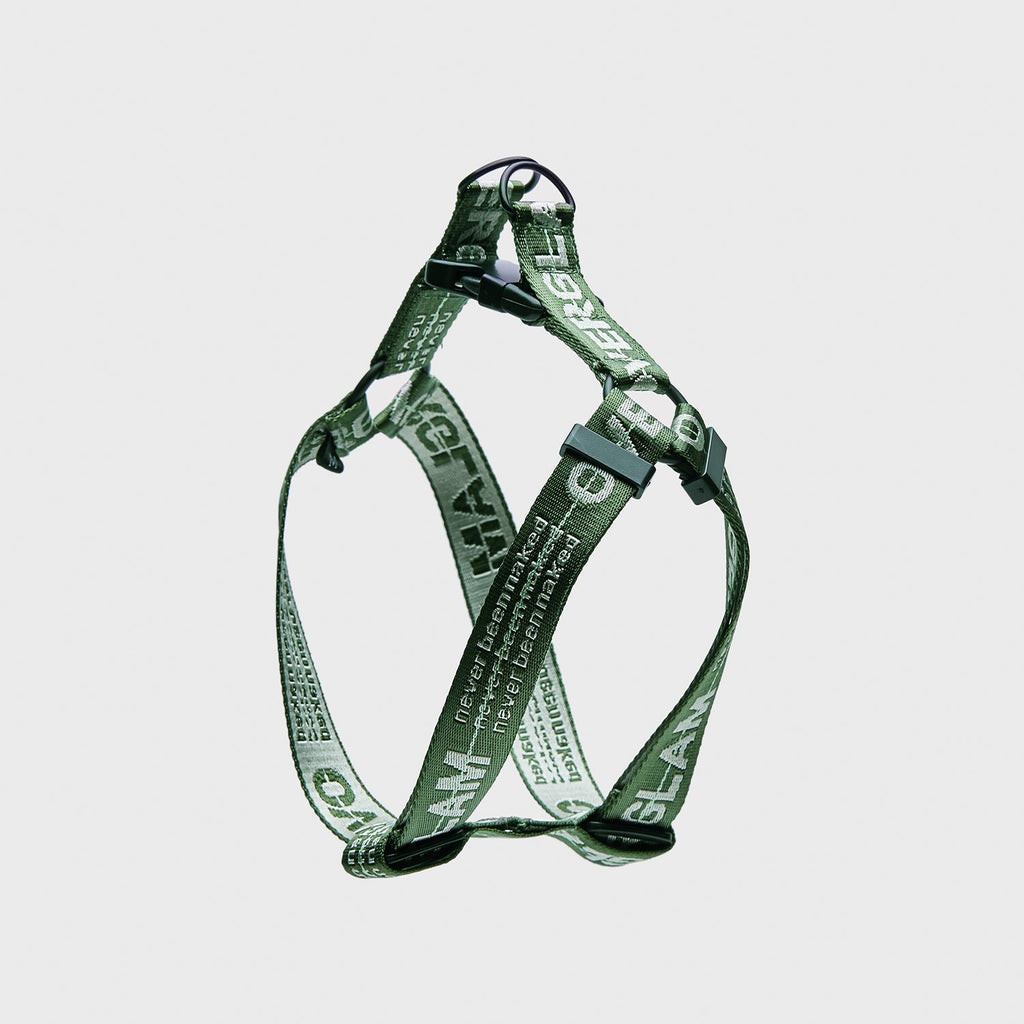 Ribbon Harness in Rose and Green