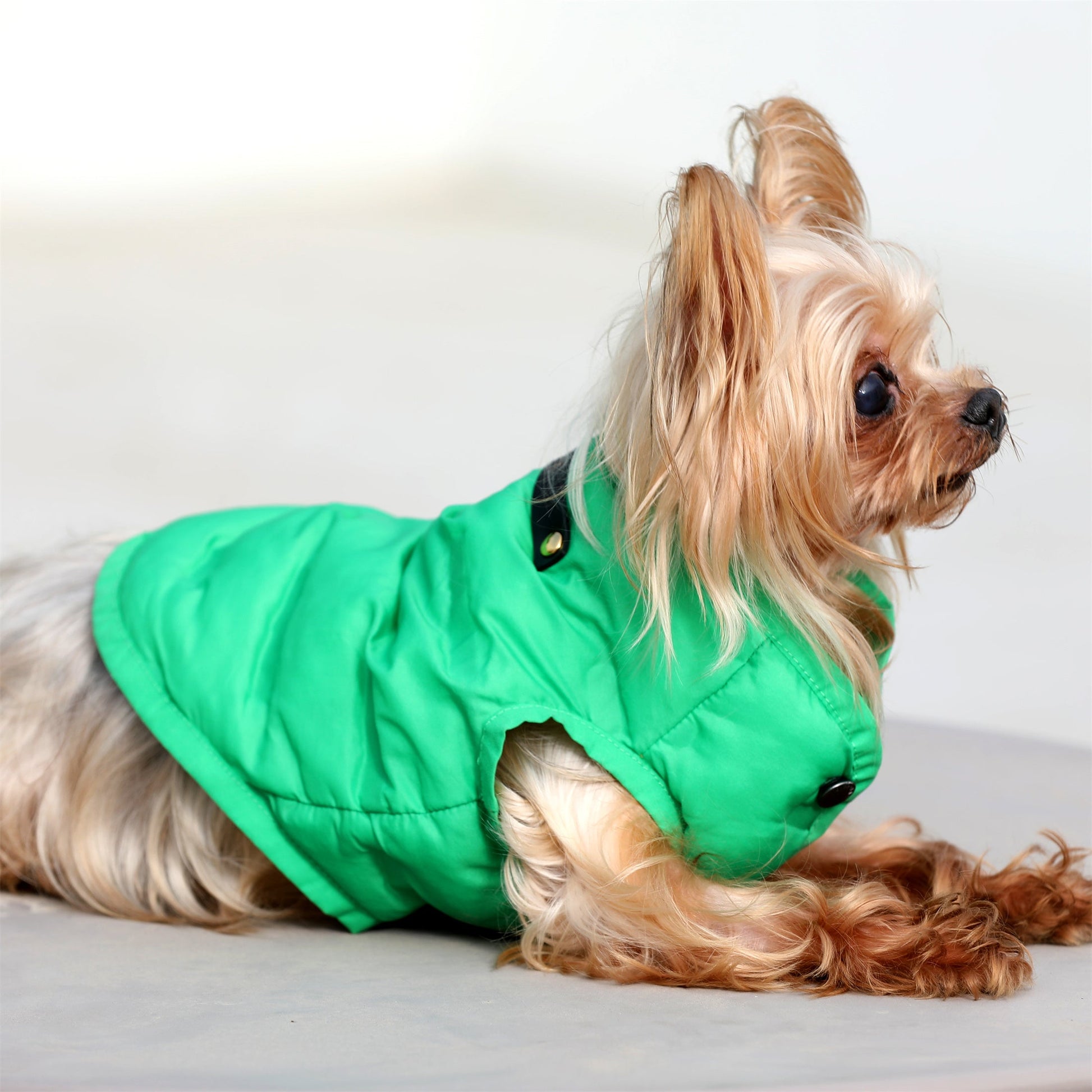 Sleeveless Button Up Puffer Jacket