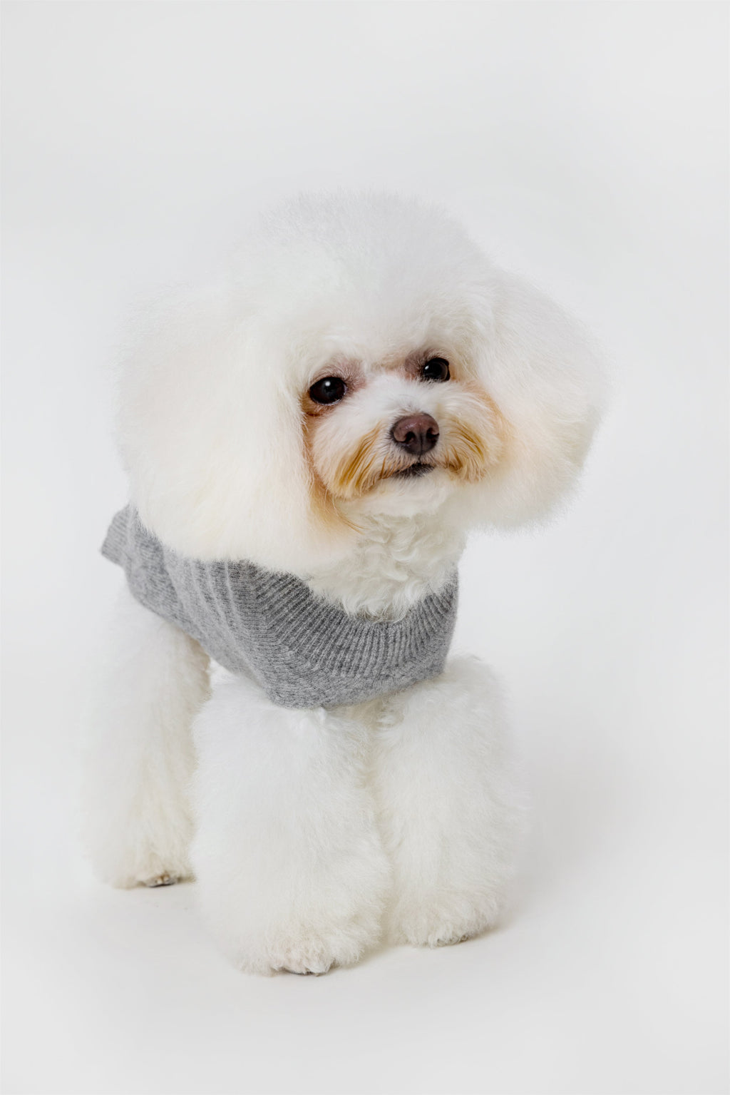 Sleeveless Wool Jumper with Golden Metal Logo