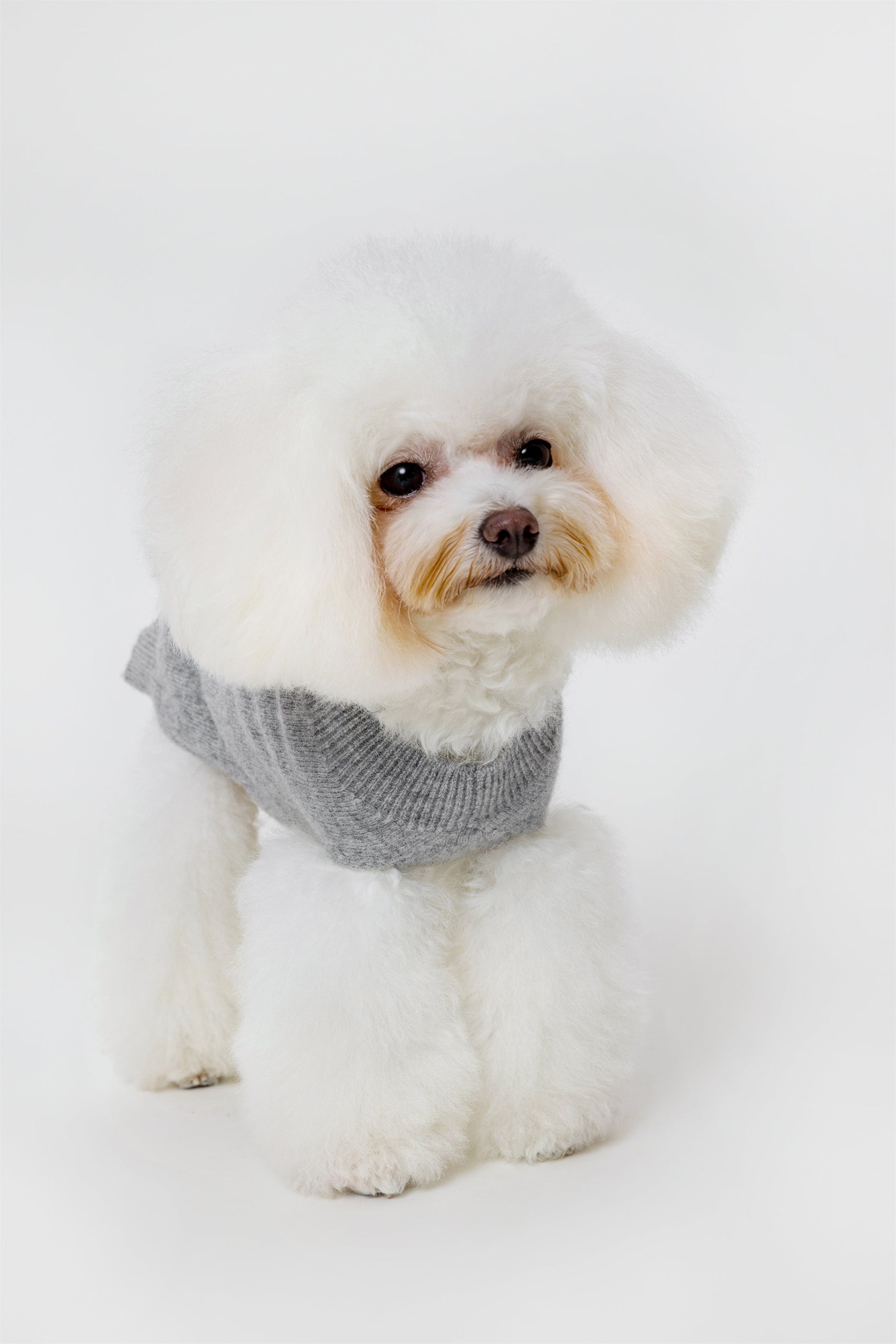 Sleeveless Wool Jumper with Golden Metal Logo