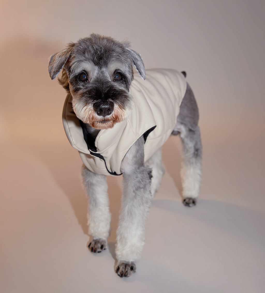 Sleeveless Leather Jacket with Harness Detail