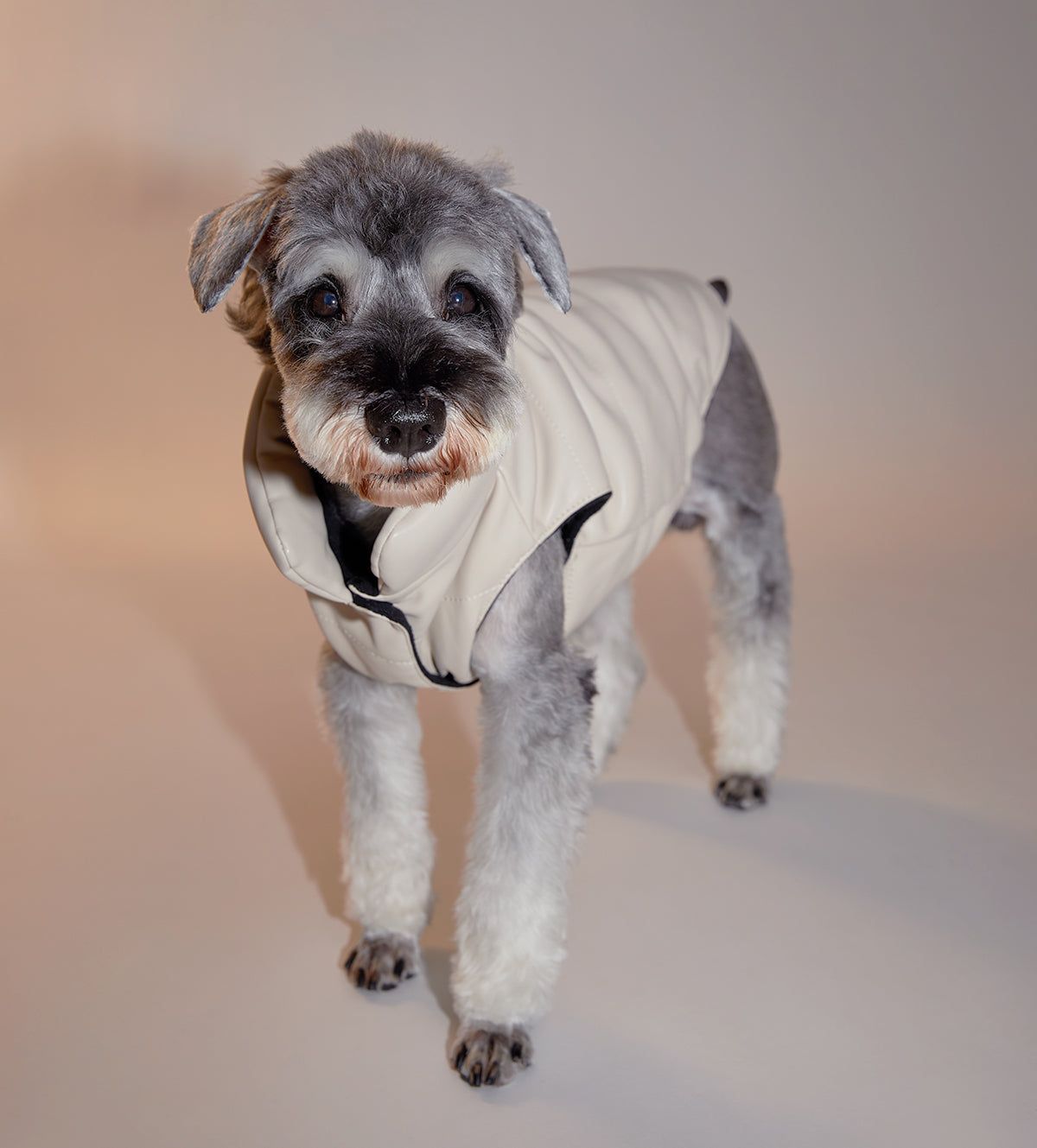Sleeveless Leather Jacket with Harness Detail
