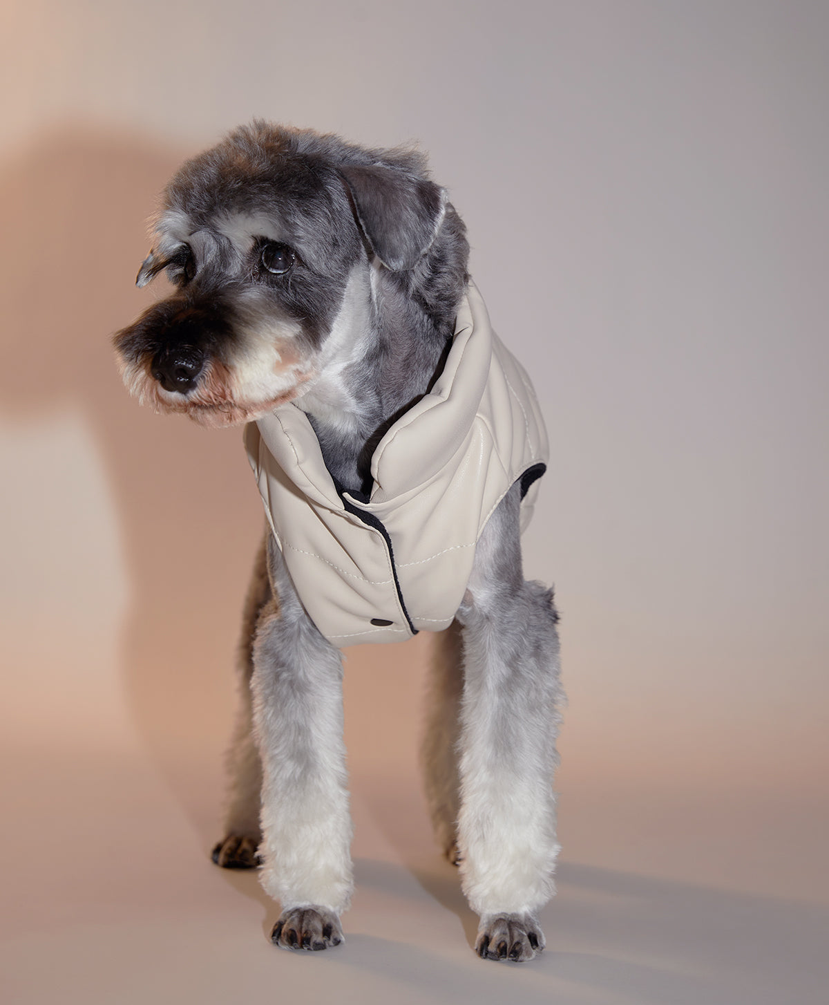 Sleeveless Leather Jacket with Harness Detail