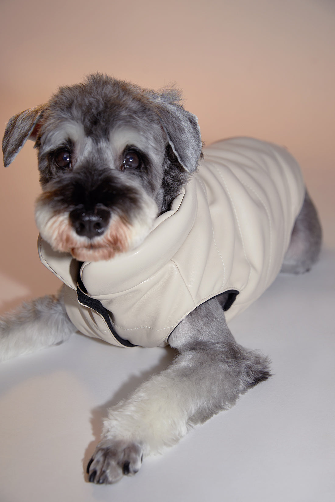 Sleeveless Leather Jacket with Harness Detail