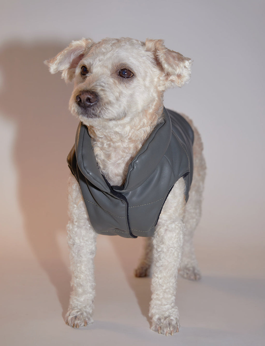 Sleeveless Leather Jacket with Harness Detail