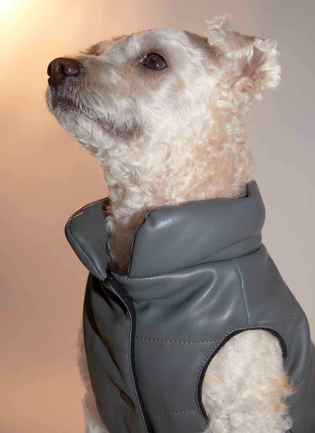 Sleeveless Leather Jacket with Harness Detail