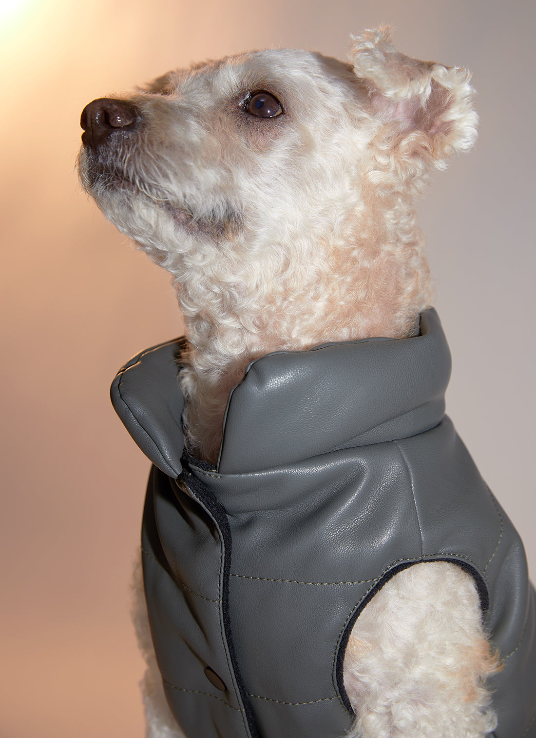 Sleeveless Leather Jacket with Harness Detail