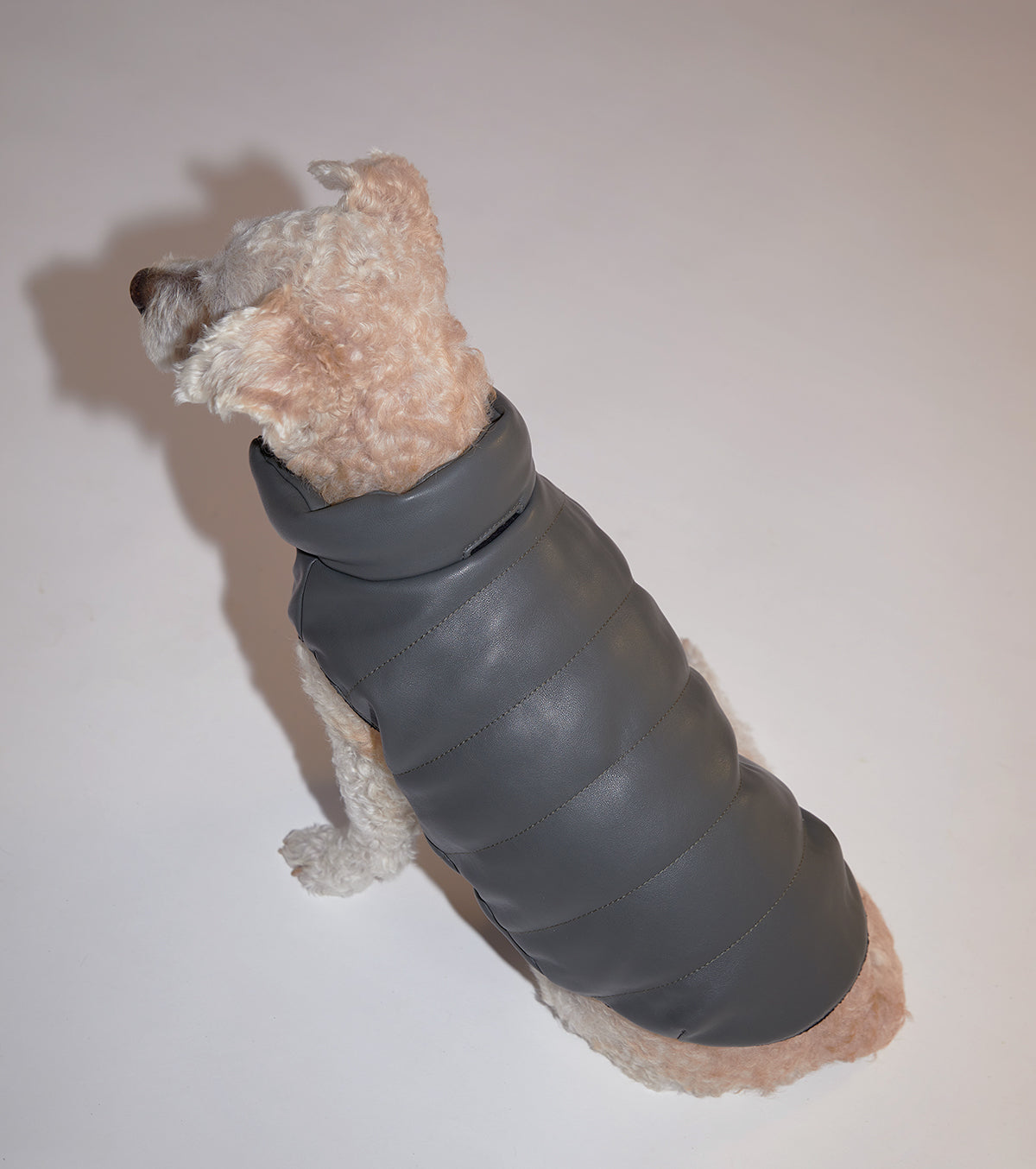 Sleeveless Leather Jacket with Harness Detail