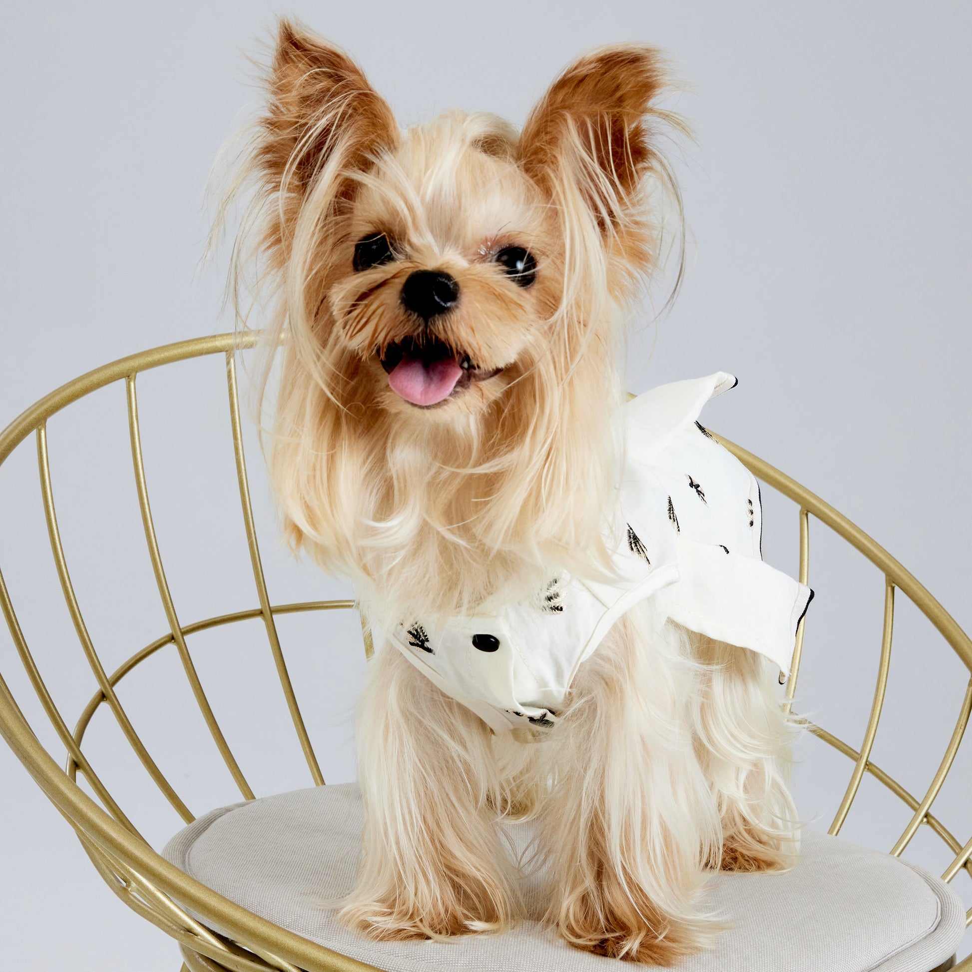 Cream Pleated Dress with Black Embroidery