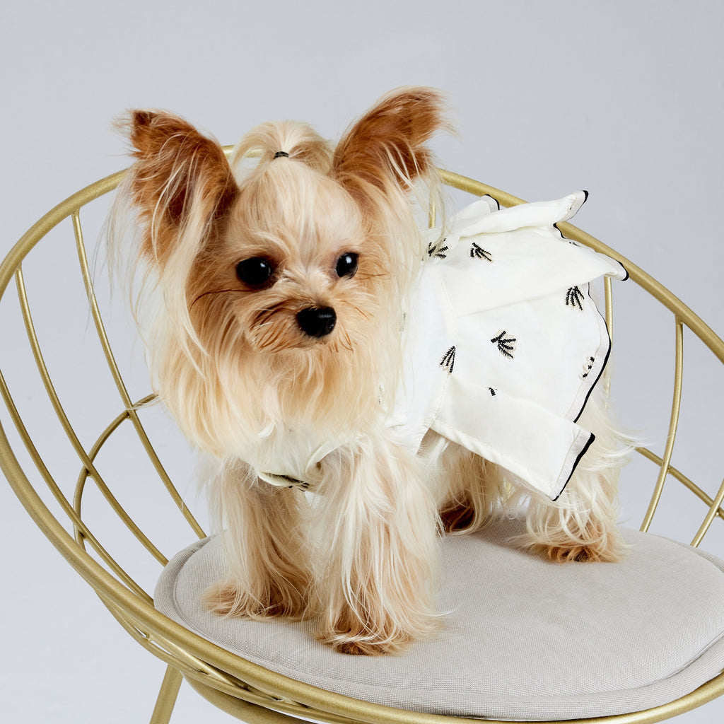 Cream Pleated Dress with Black Embroidery