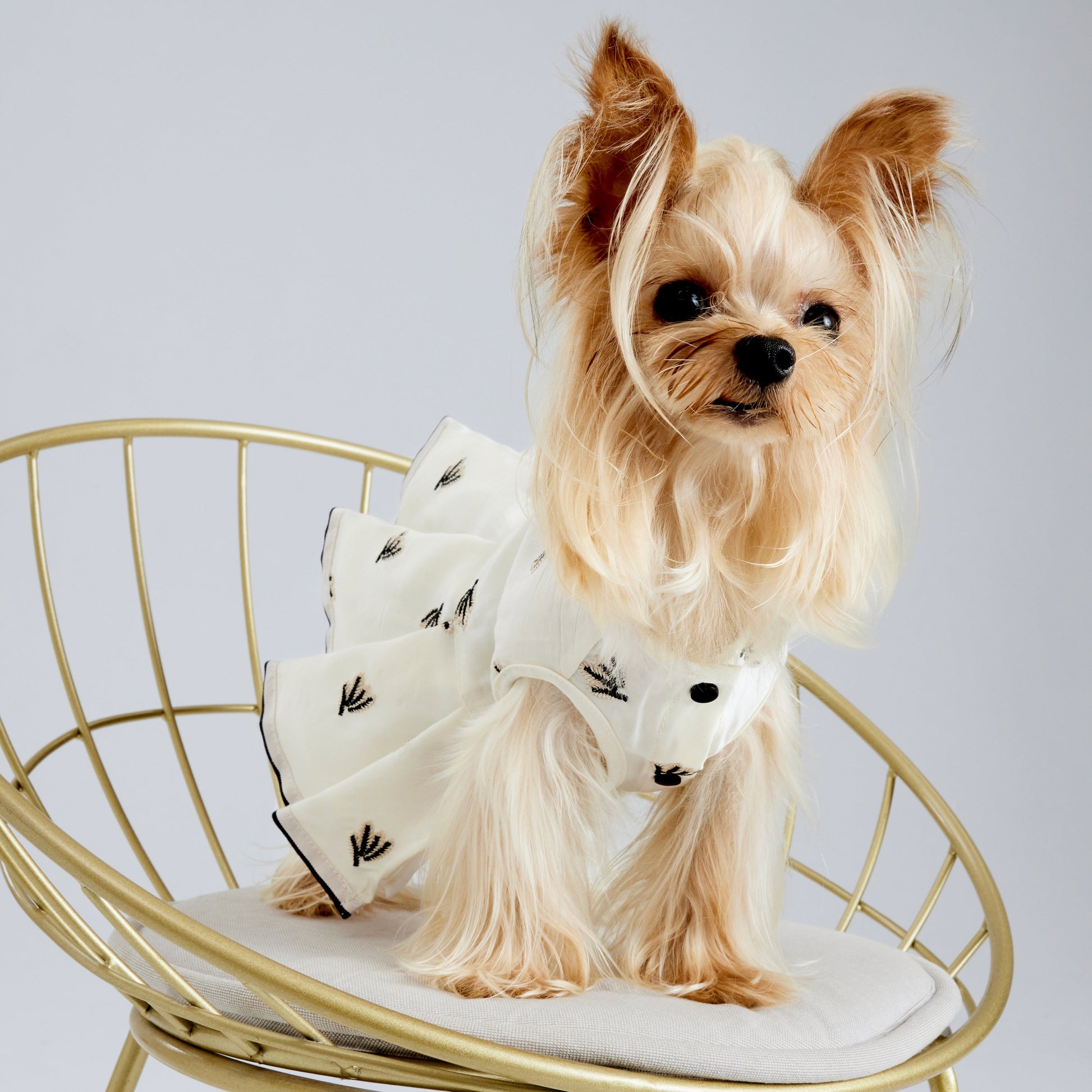 Cream Pleated Dress with Black Embroidery