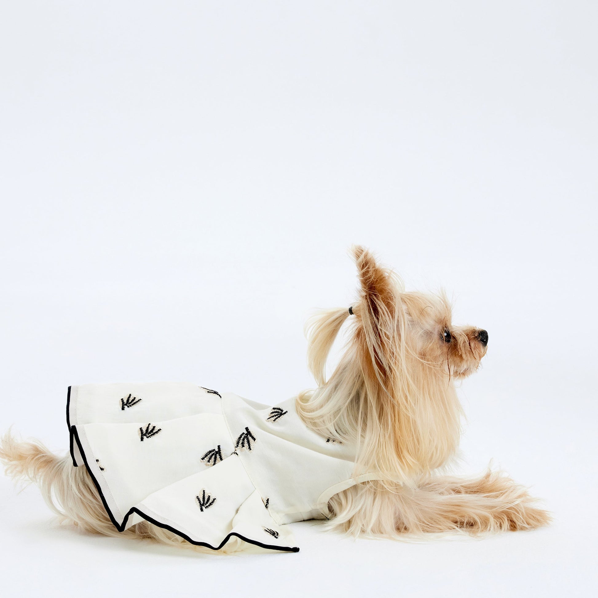 Cream Pleated Dress with Black Embroidery