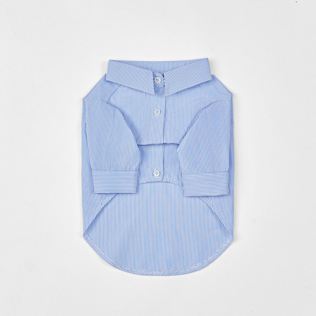 Striped Cotton Shirt in Blue or Pink