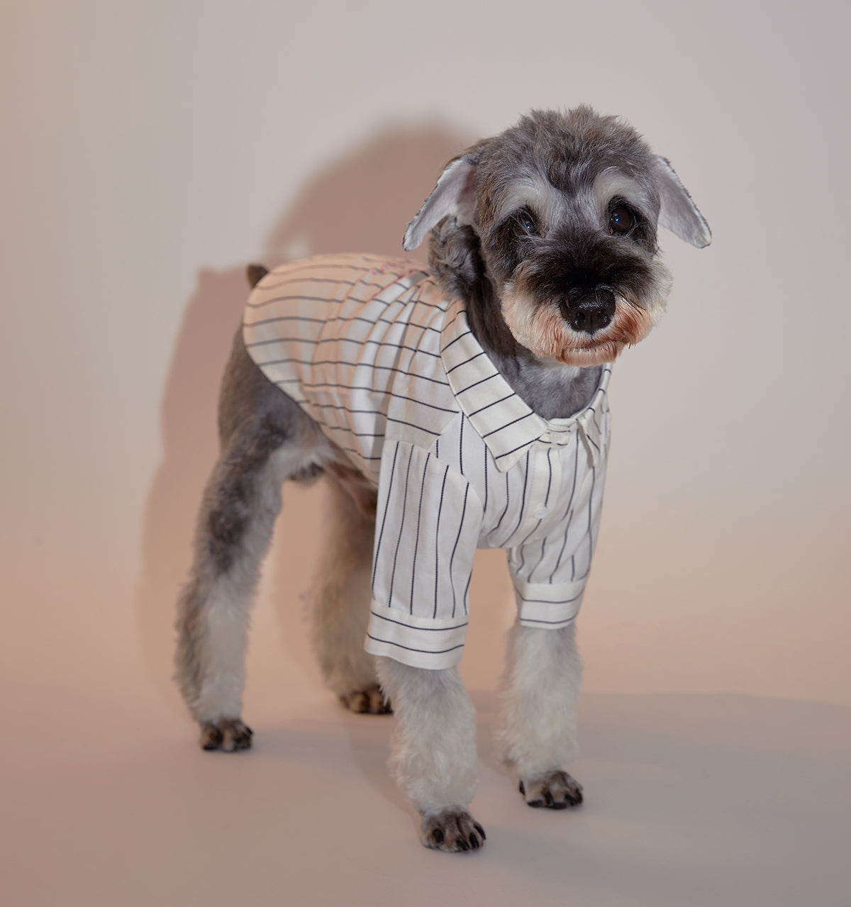 Striped Button Up Shirt in White