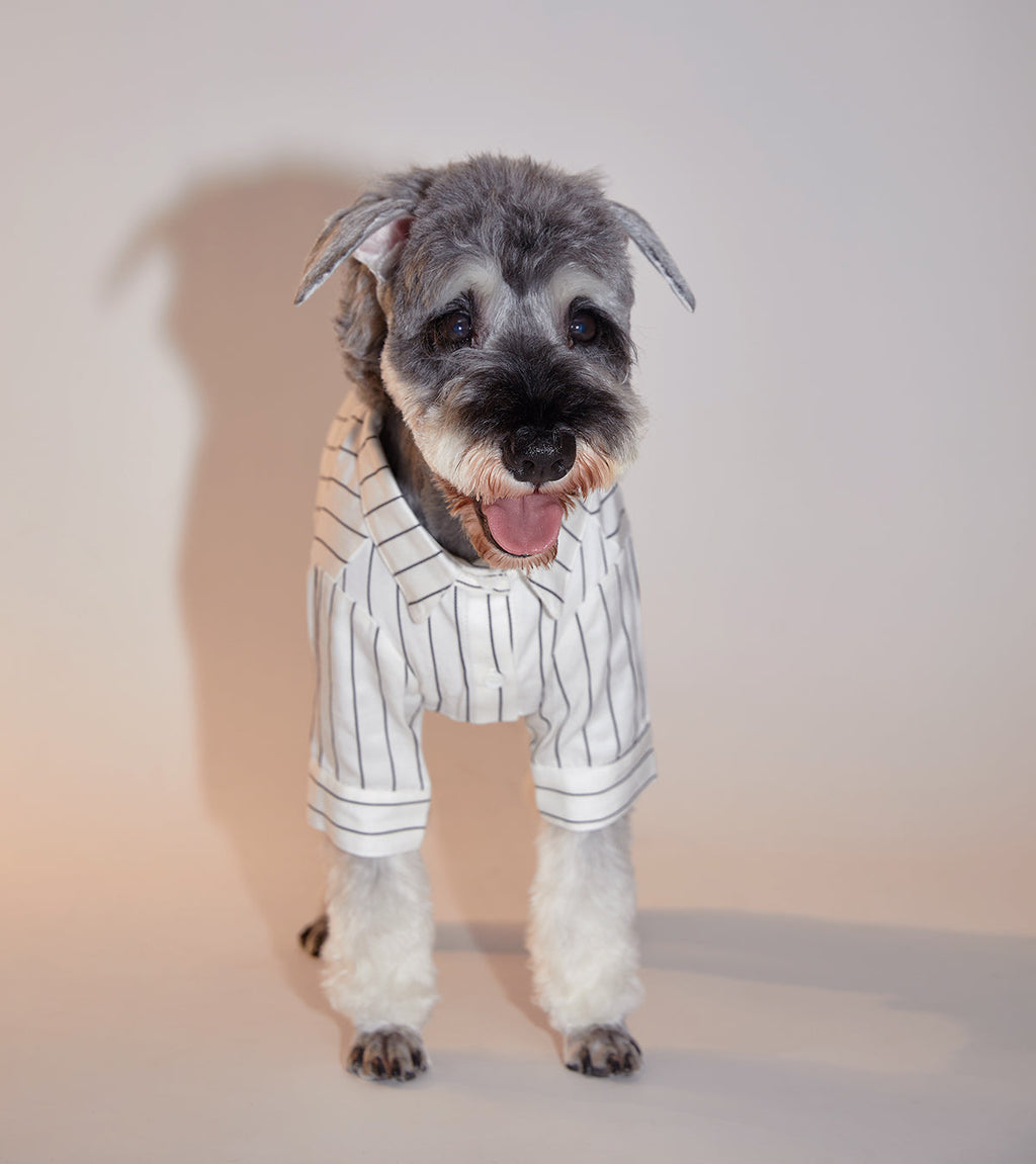 Striped Button Up Shirt in White