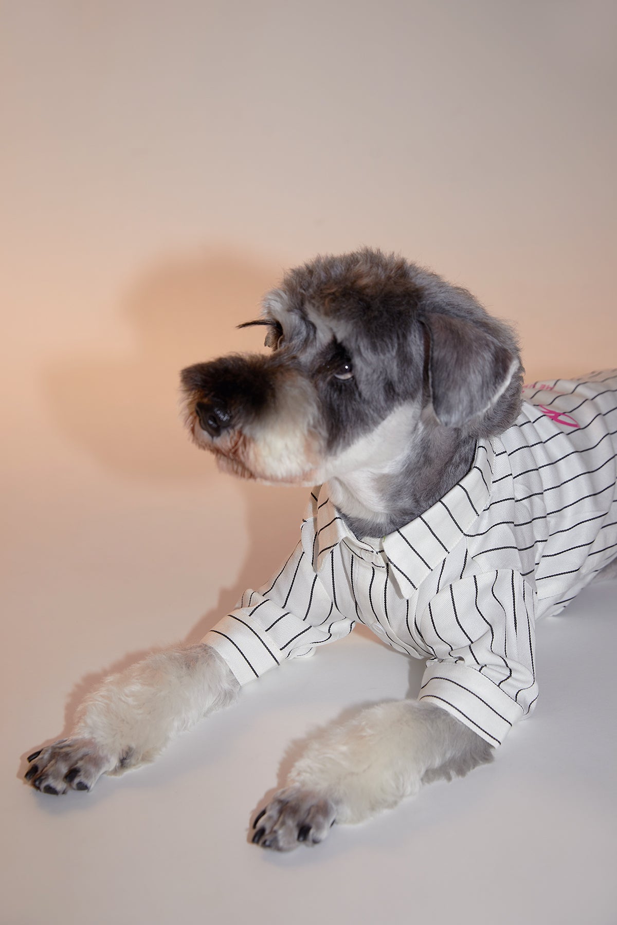 Striped Button Up Shirt in White