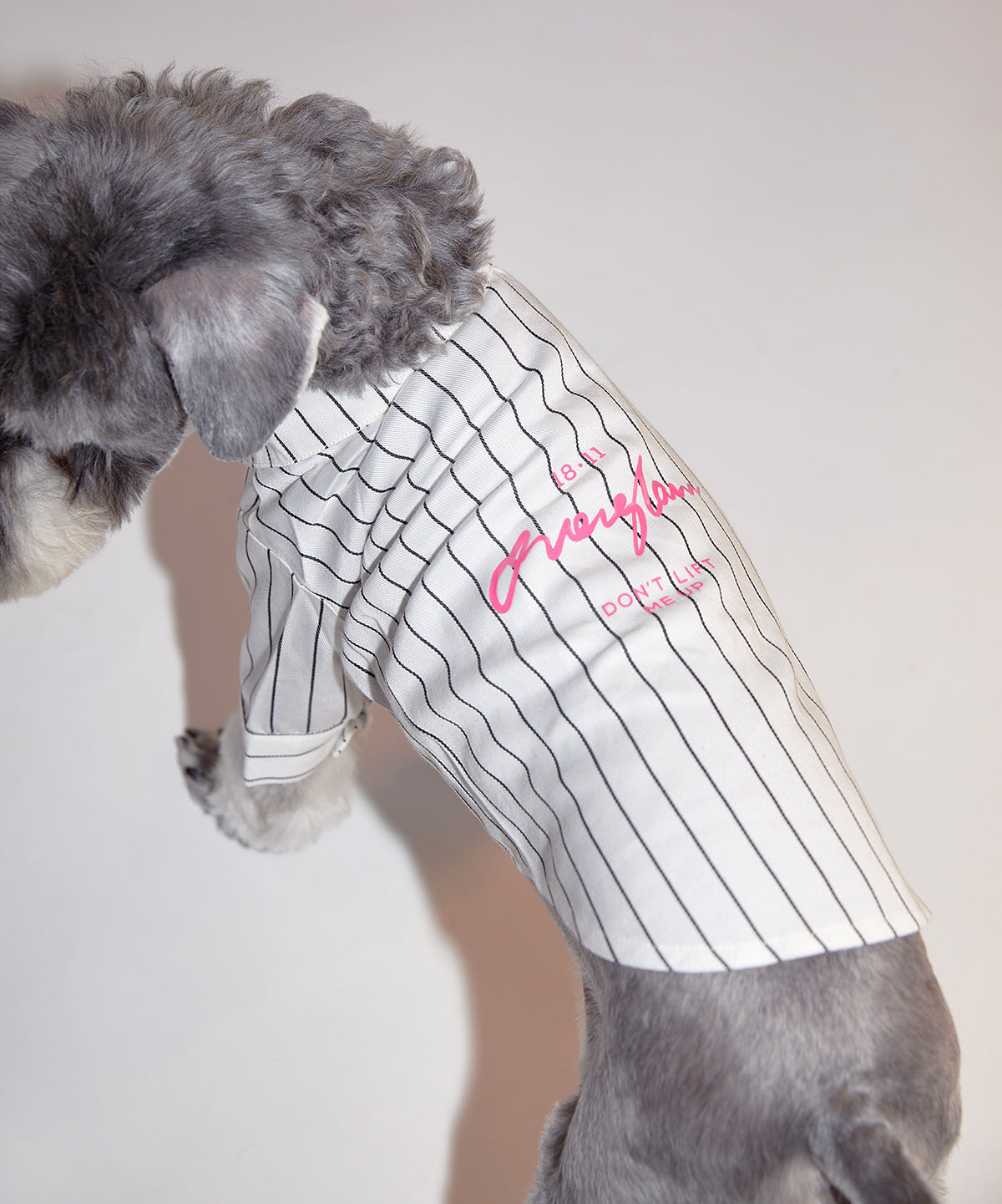 Striped Button Up Shirt in White