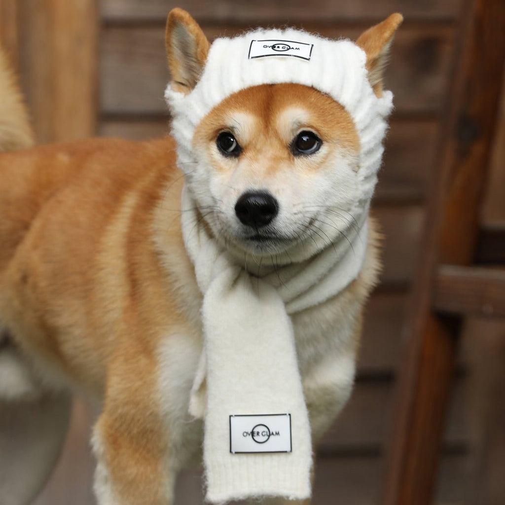 Striped Woolen Hat for Pets in White