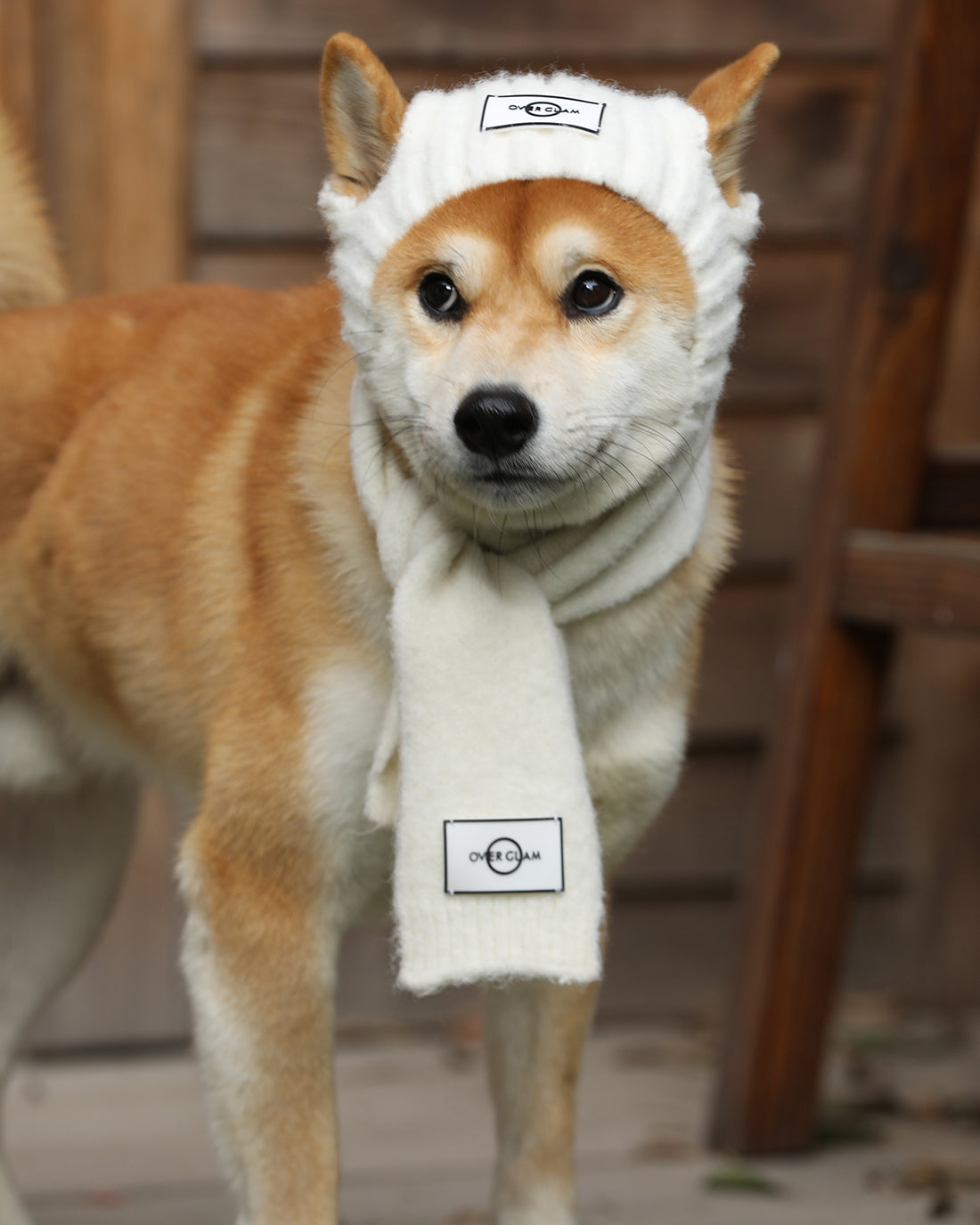 White Woolen Pet Scarf