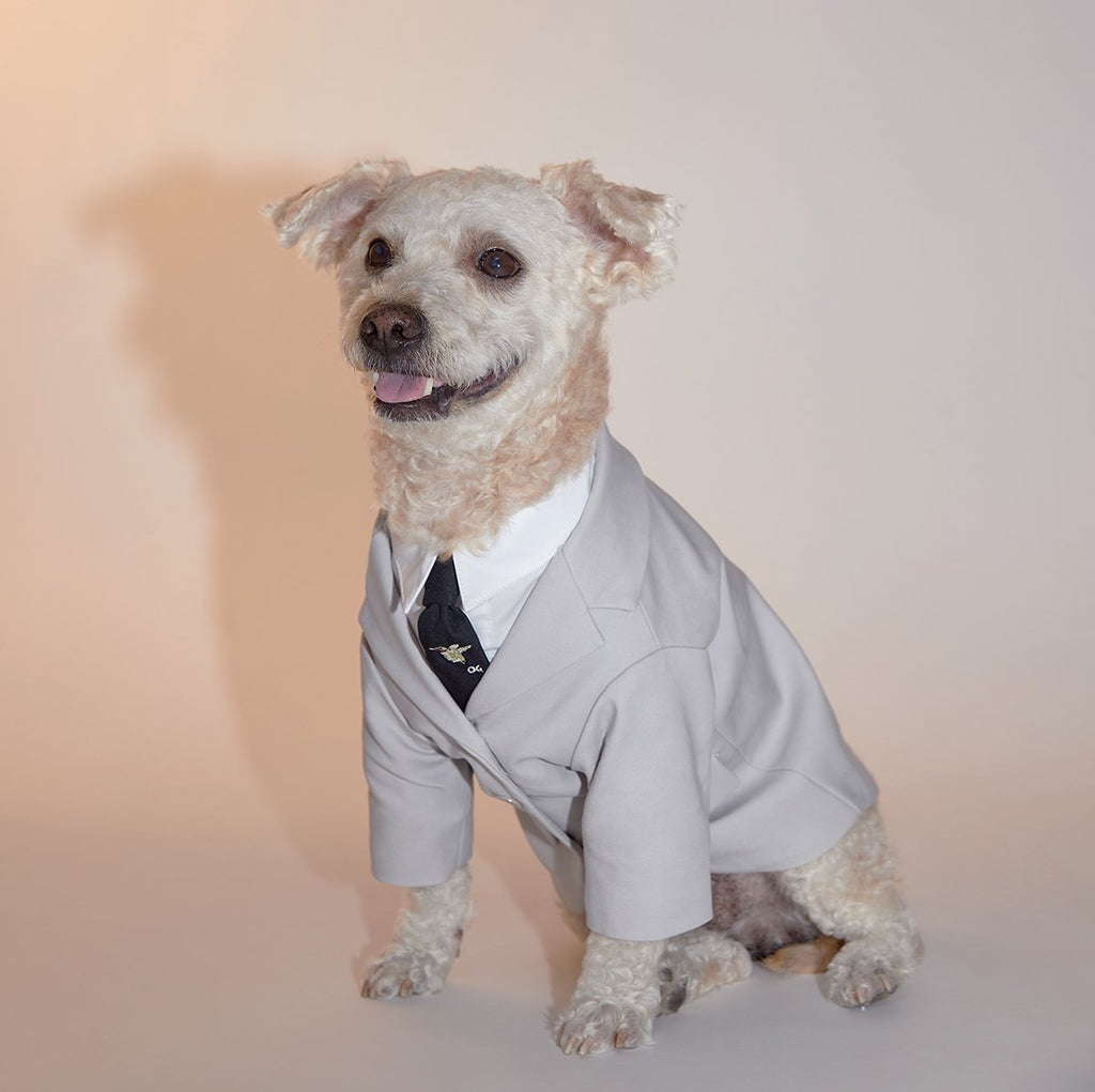 Complete Suit Set with Embroidered Necktie