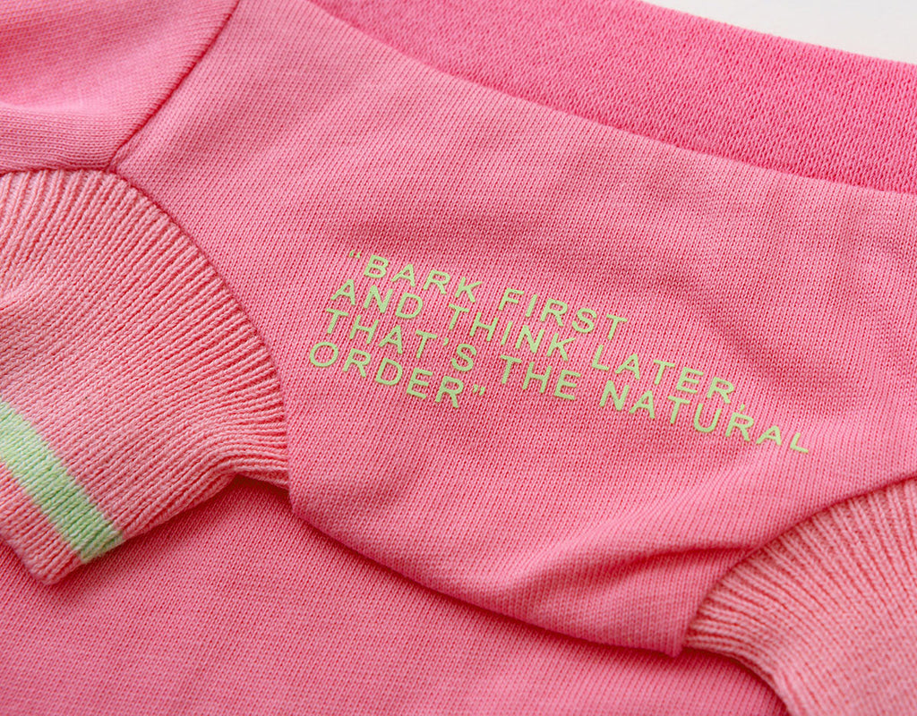 Funny Slogan T-Shirt in Five Colours
