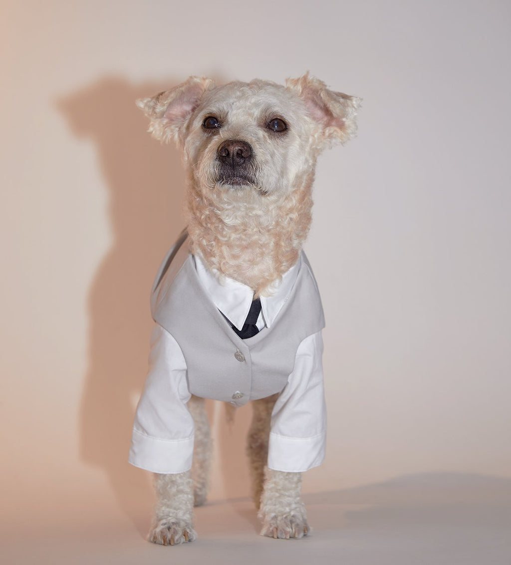 Complete Waistcoat Set with Shirt and Embroidered Tie