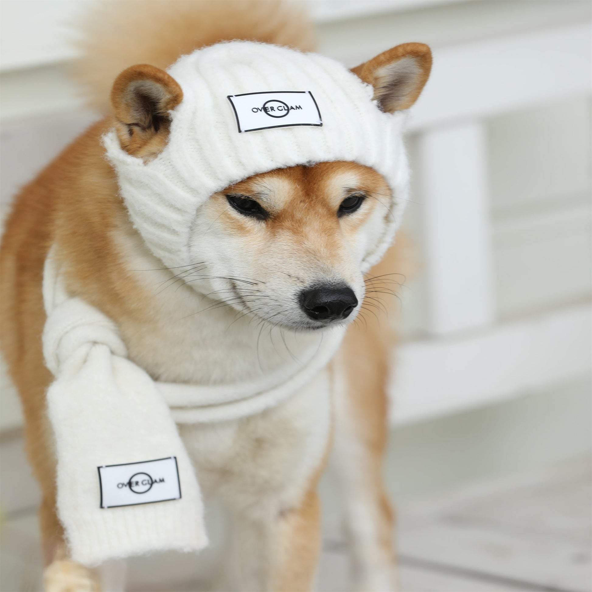 White Woolen Pet Scarf