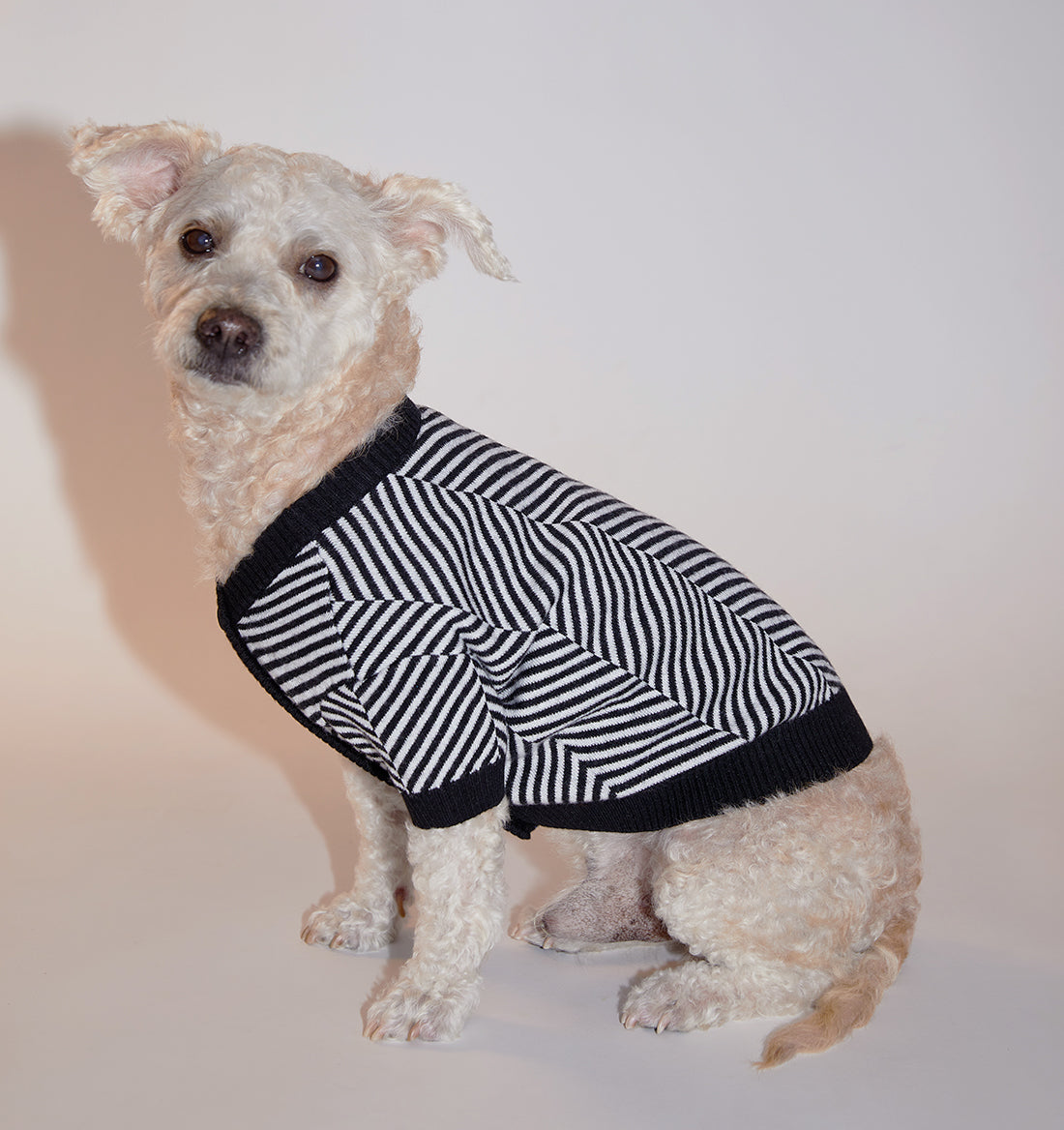 Zig Zag Striped Cardigan Sweater