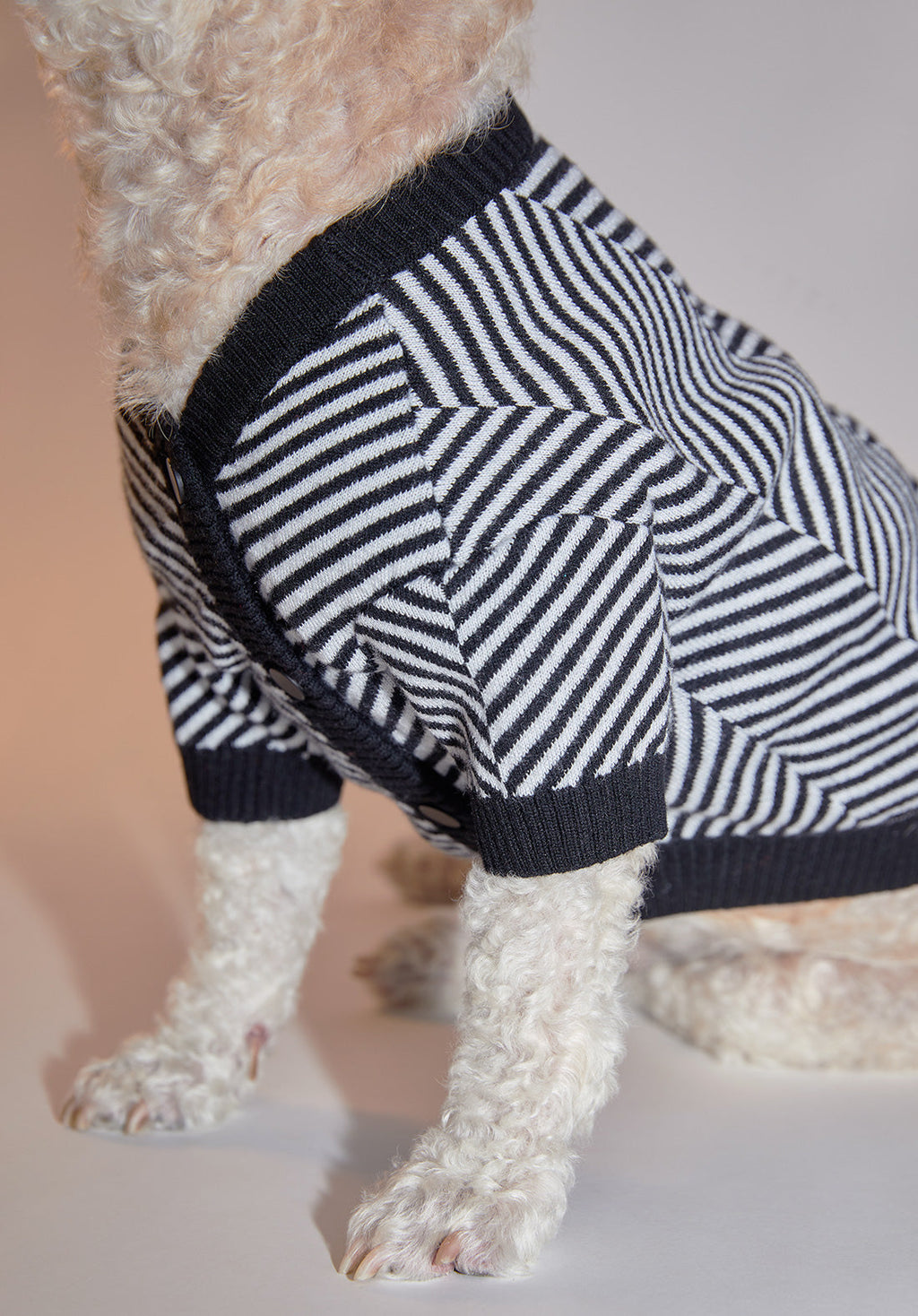 Zig Zag Striped Cardigan Sweater