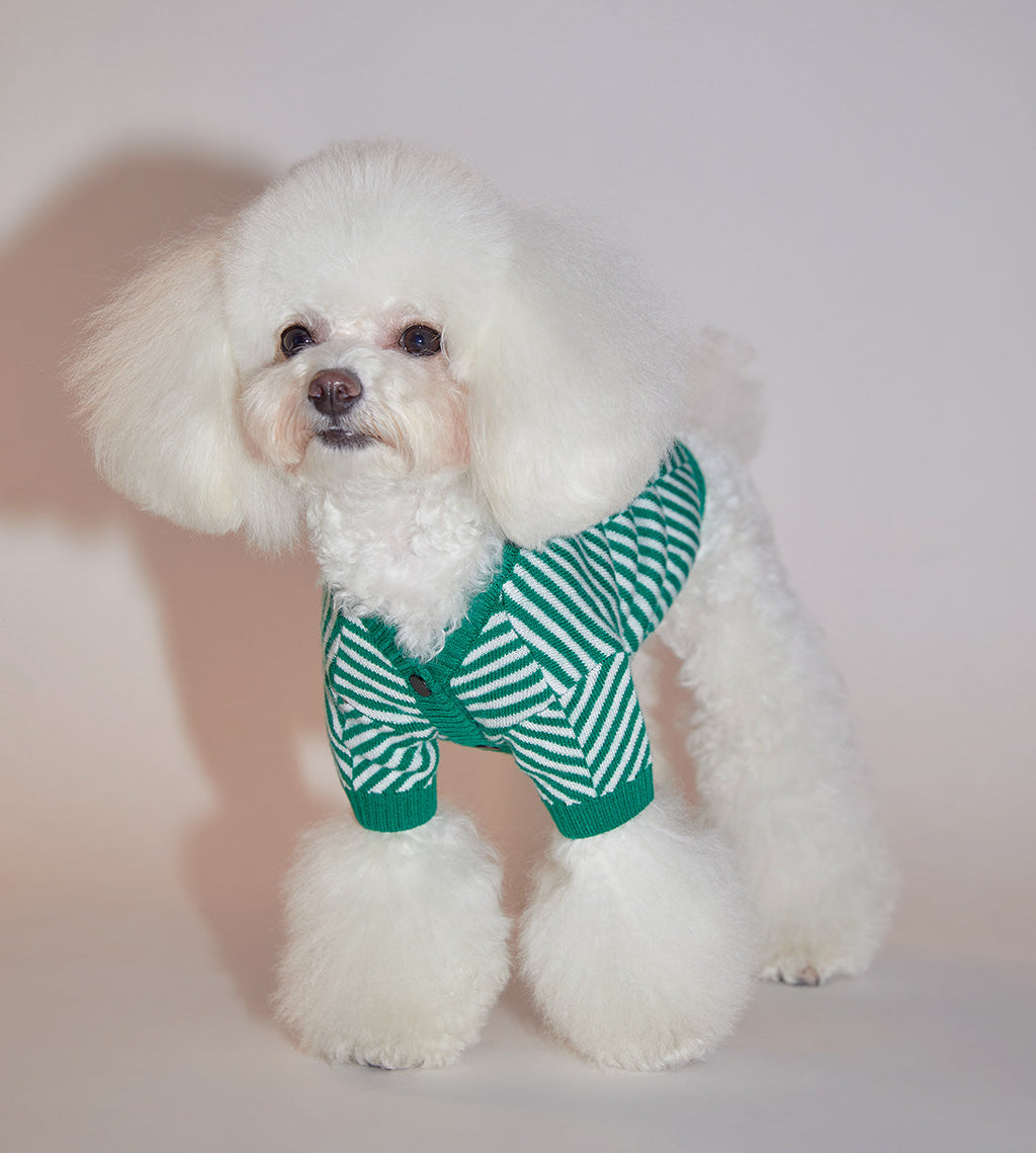 Zig Zag Striped Cardigan Sweater