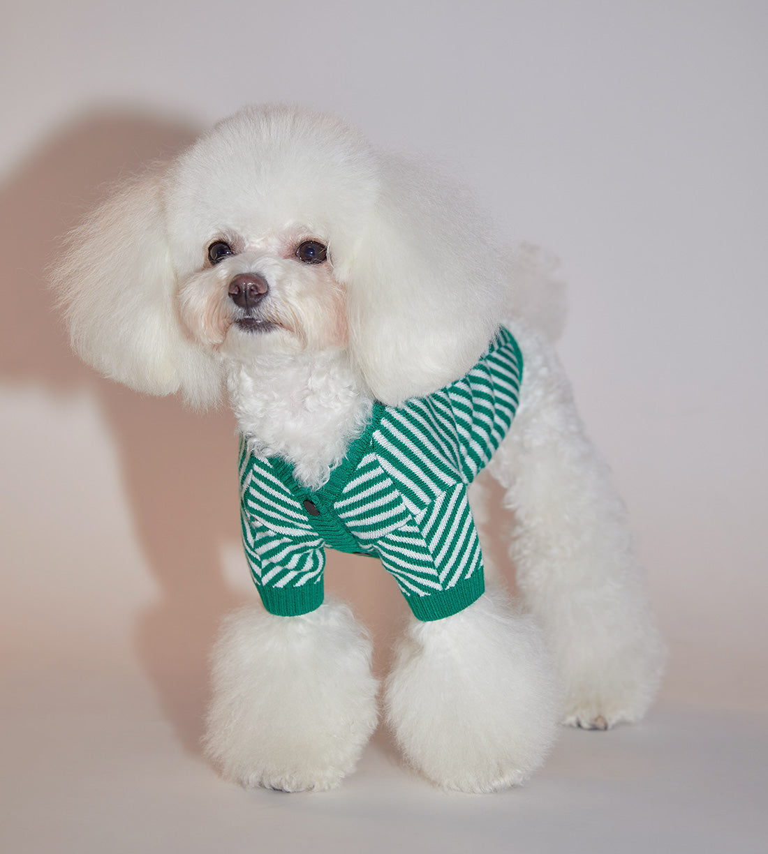 Zig Zag Striped Cardigan Sweater