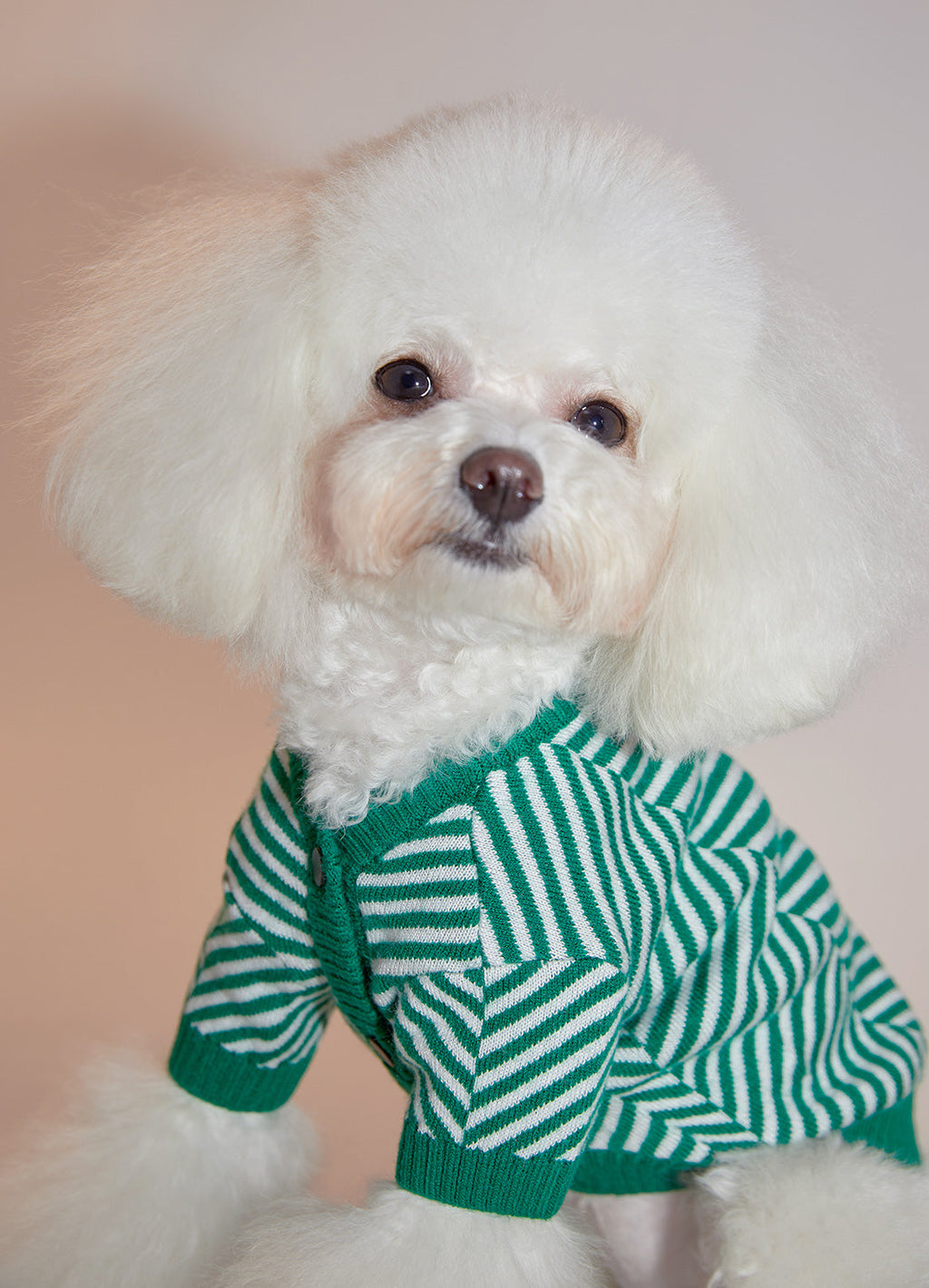 Zig Zag Striped Cardigan Sweater