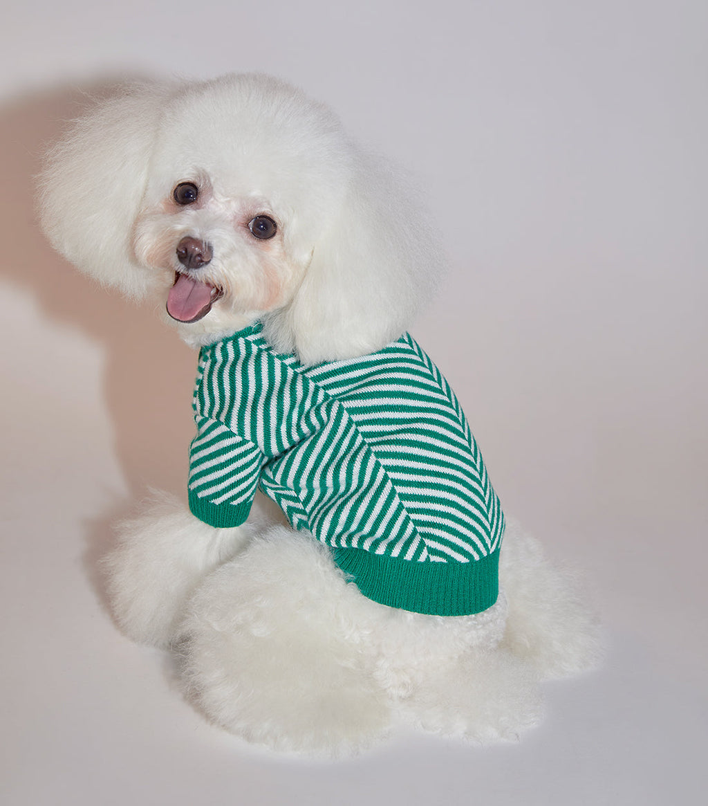 Zig Zag Striped Cardigan Sweater