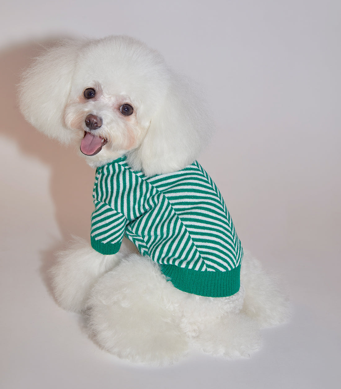 Zig Zag Striped Cardigan Sweater