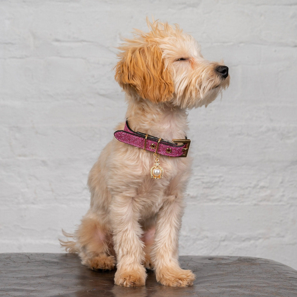 Rose Glitter Leather Collar with Crown